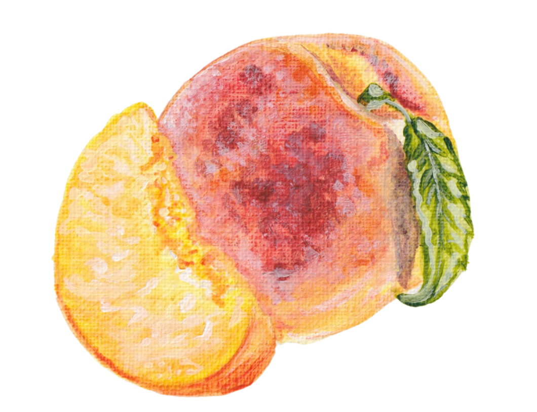 Hand-painted illustration of a peach with a sliced half showing the juicy interior, along with green leaves.