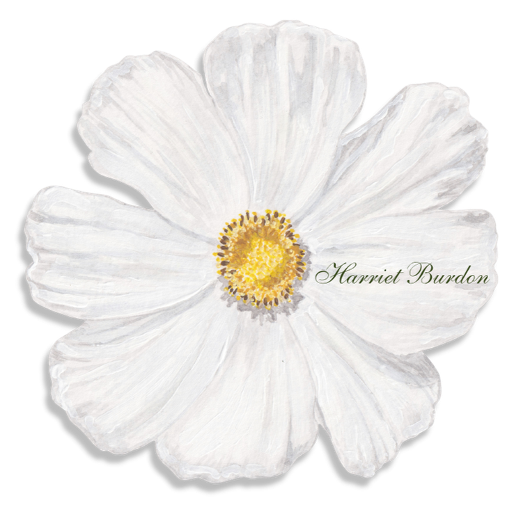 A white cosmos flower with a yellow center. Used as a place card for a wedding.