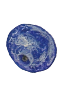Hand-painted illustration of a blueberry.