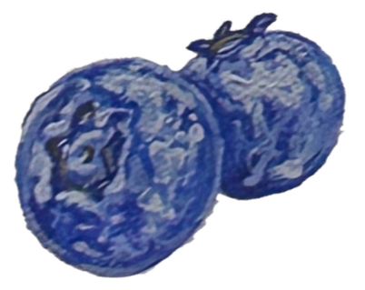 Two blueberries side by side.