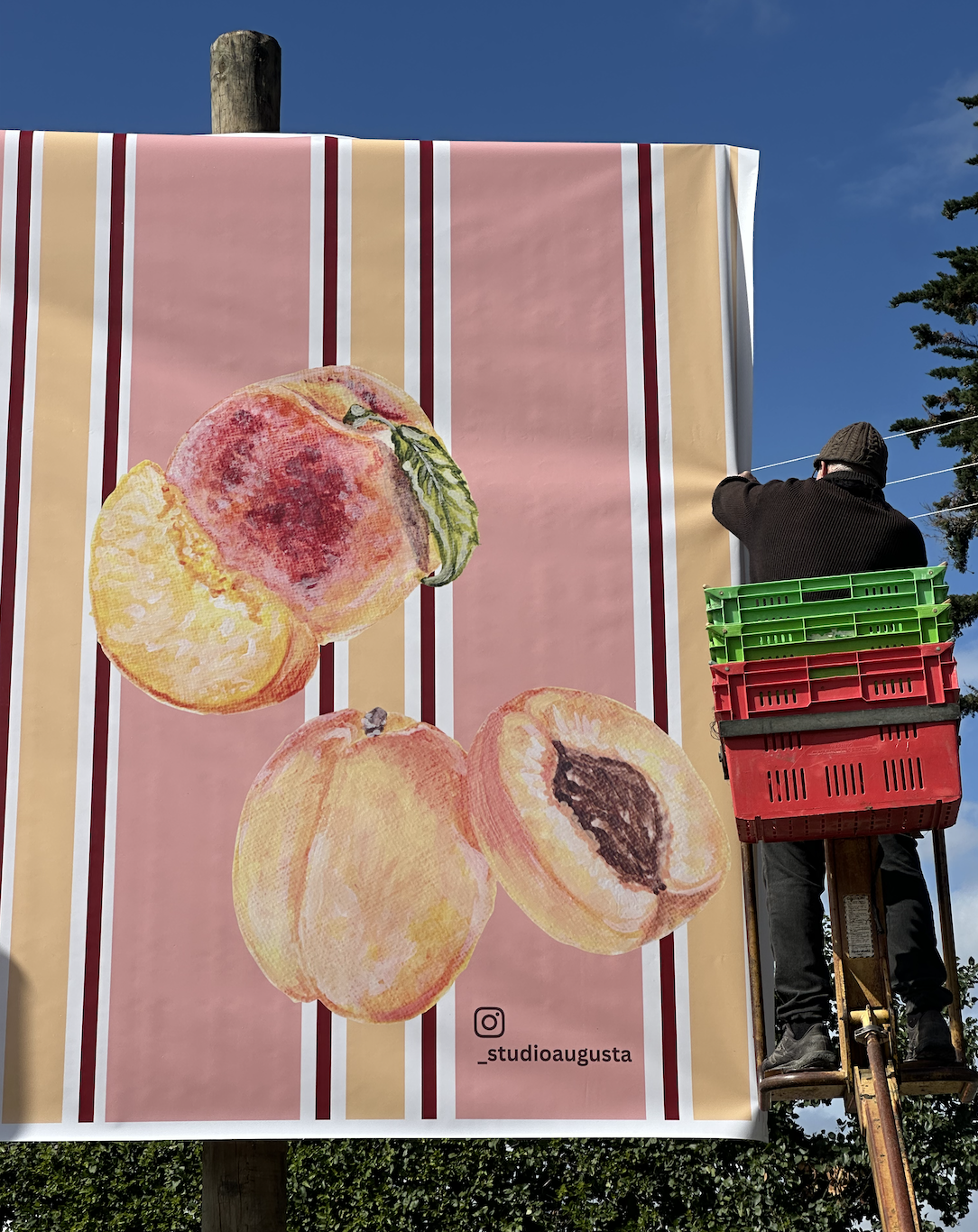 A worker on a lift installing a large banner with illustrated peaches on a striped pink, yellow, and white background, with a blue sky and a tree in the background.