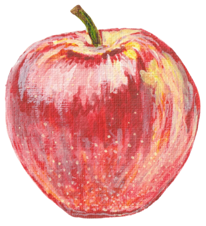 Hand-painted illustration of a red apple with a green stem.