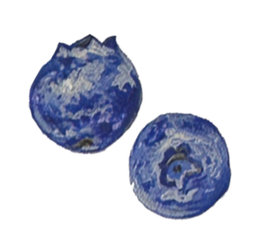 Two blueberries, one larger and one smaller, with the larger on the left and the smaller on the right.