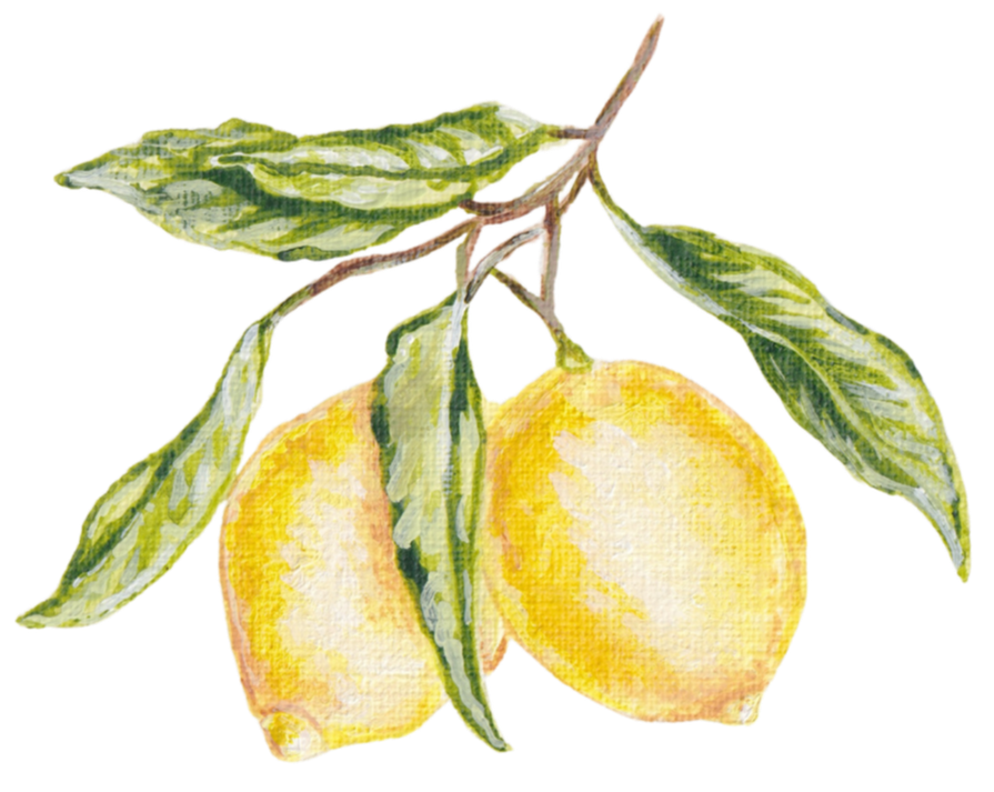 A hand-painted illustration of two lemons hanging from a branch with green leaves.