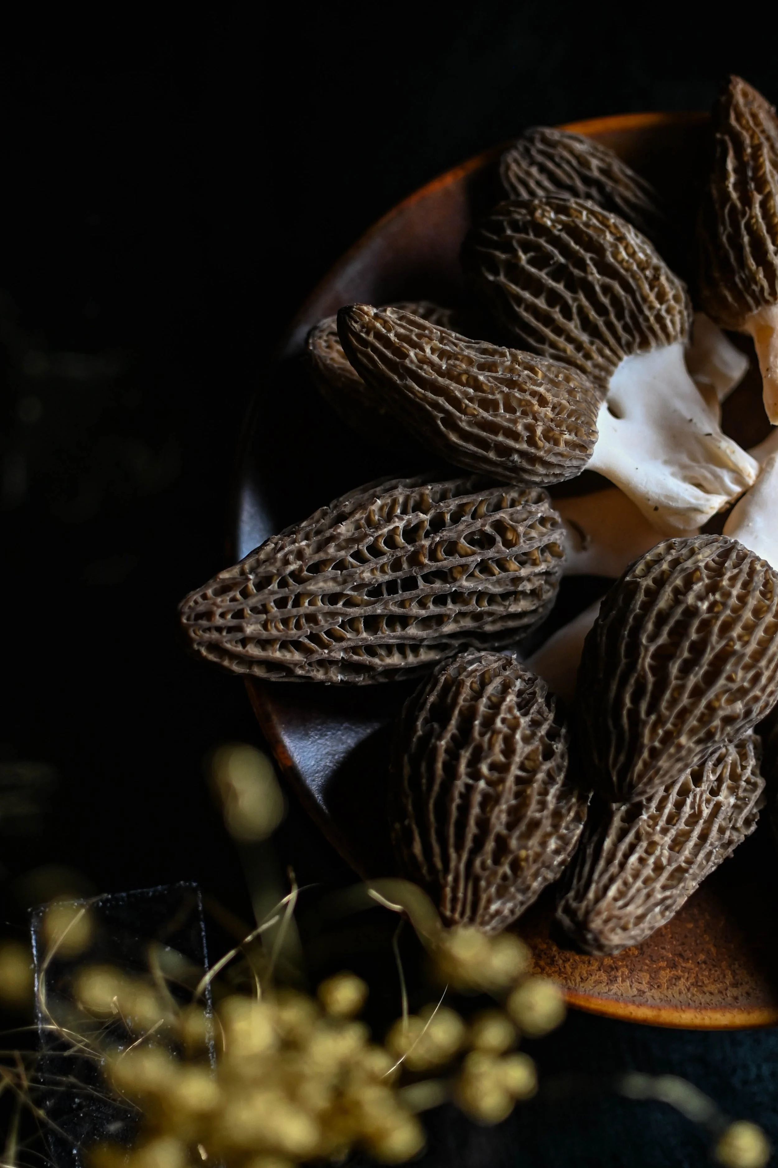 Champignons morilles dans un bol avec des pousses jaunes floues en premier plan