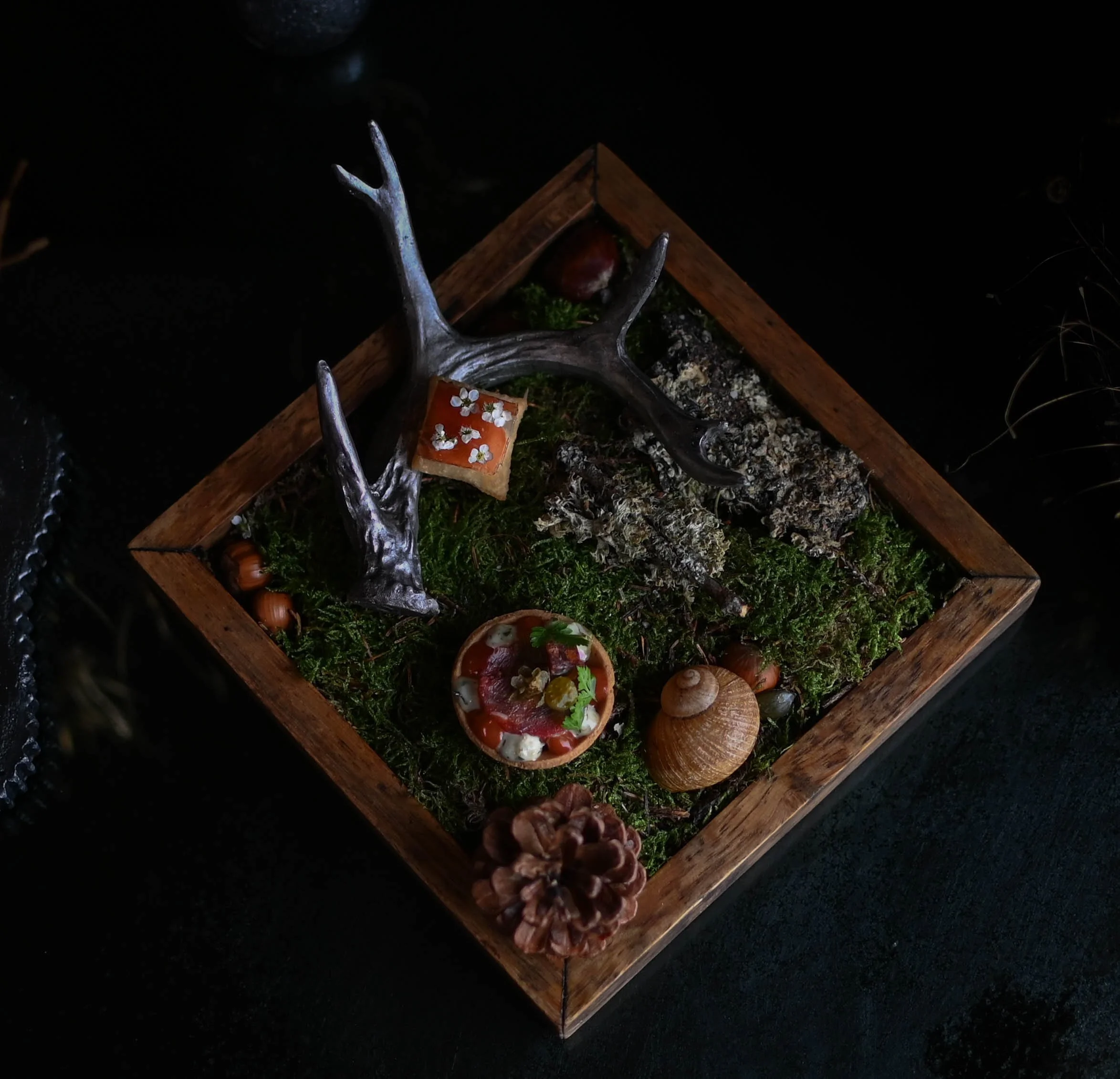 Une décoration avec un cadre en bois contenant des éléments naturels comme des champignons, des fleurs, et du feuillage, avec des bois de cerf argentés. 