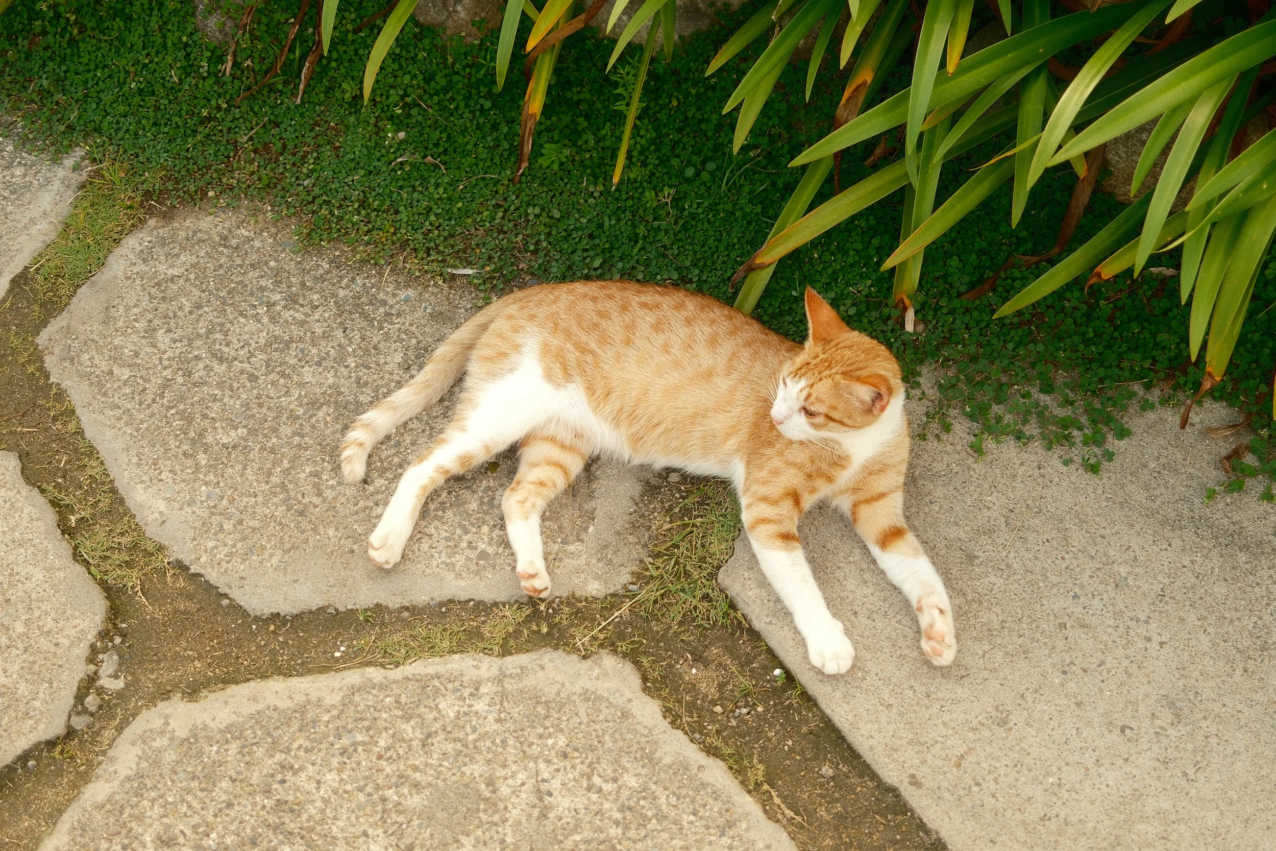 DSCF1962.JPG