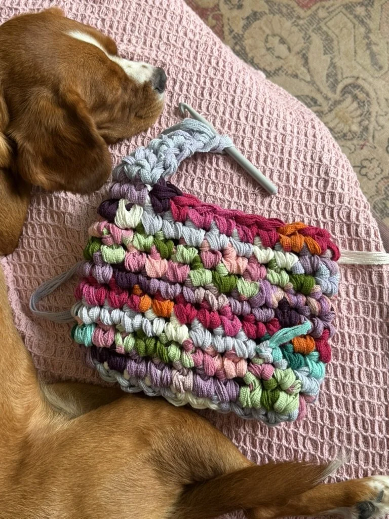 A brown dog with white markings sleeping on a pink textured blanket, next to a colorful crocheted bag with multicolored yarn and a white croquet hook.