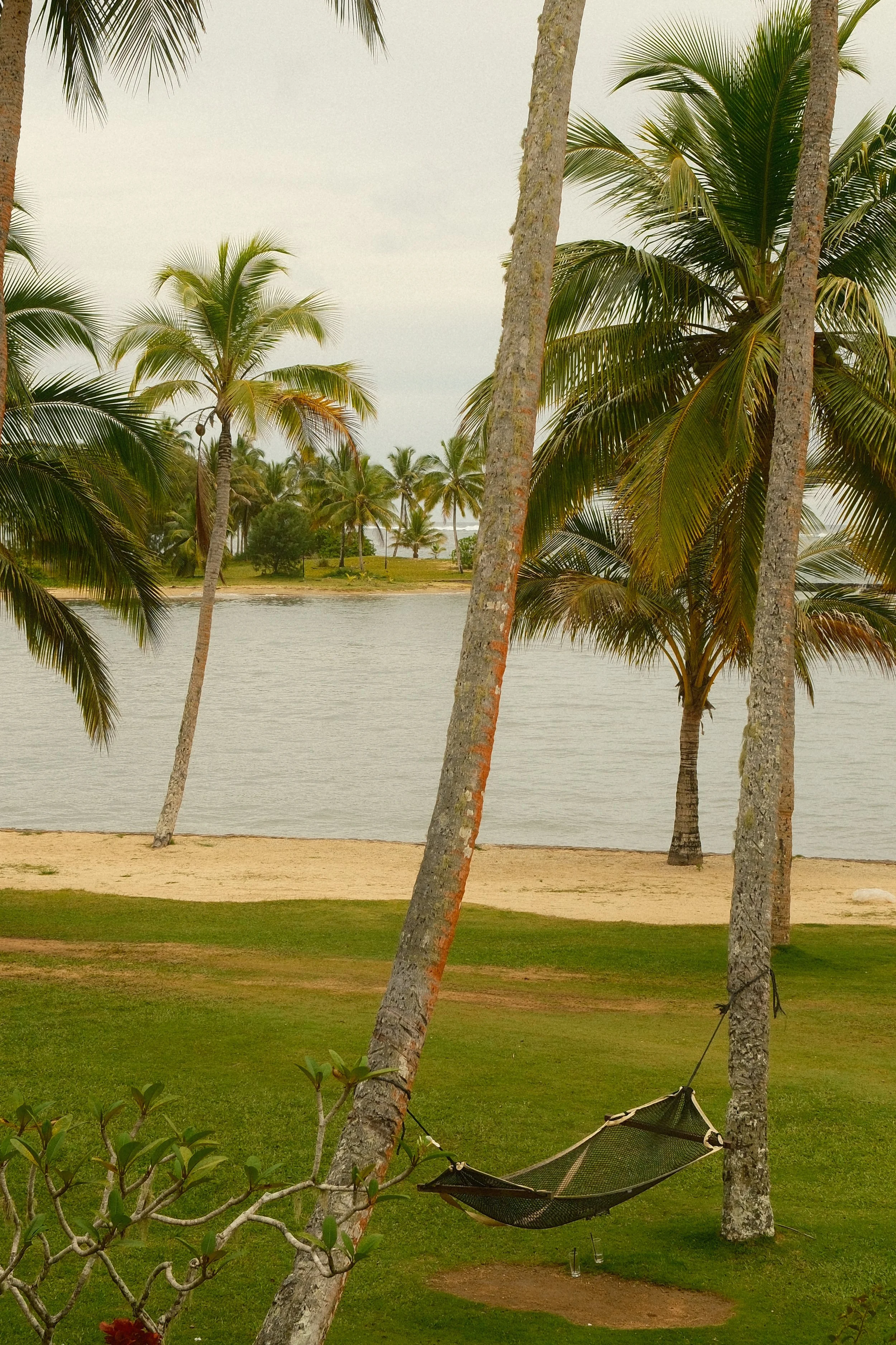 DSCF2127.JPG