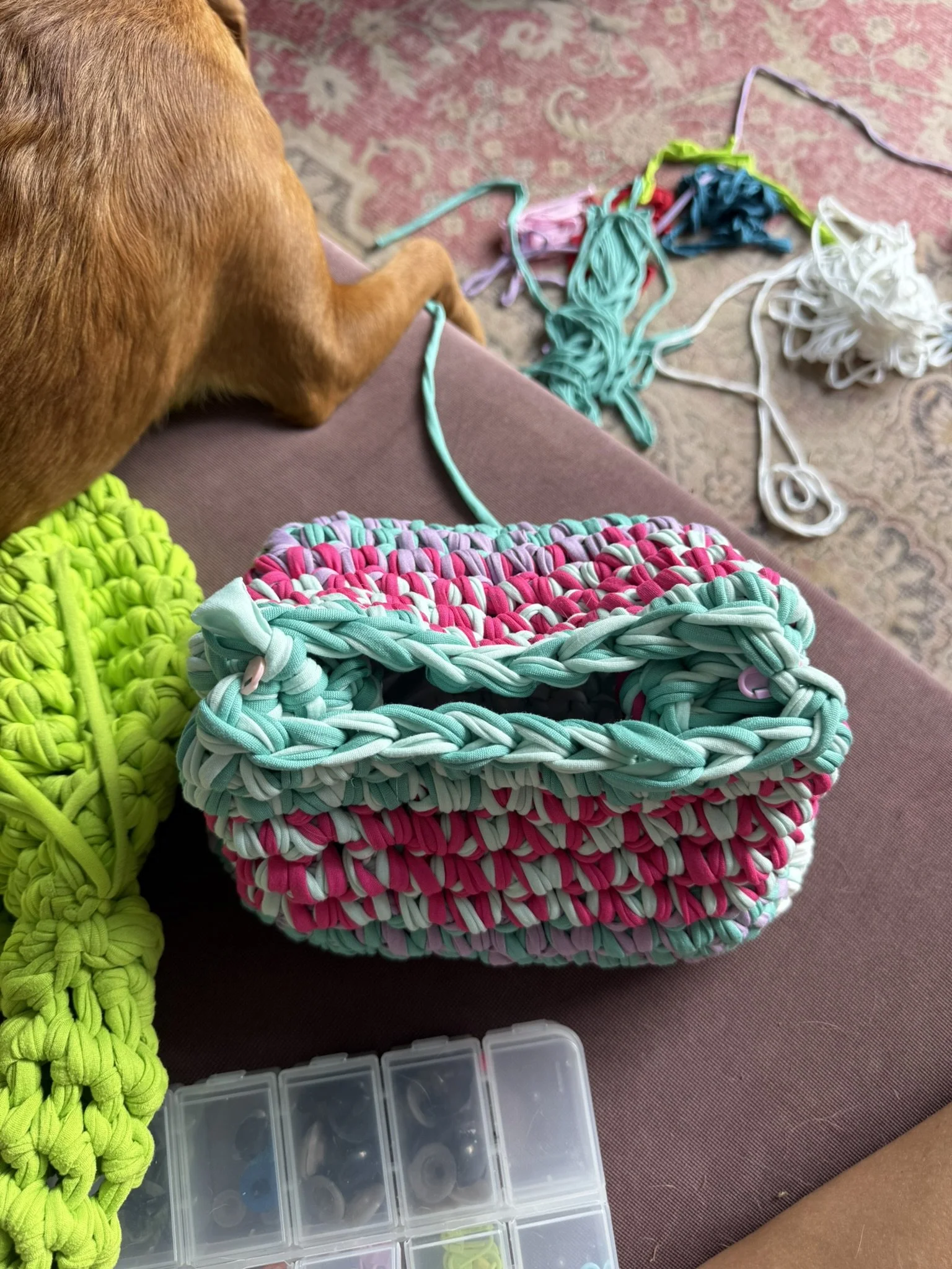 Close-up of a beige dog looking at colorful woven elastic hairbands and a plastic container with small compartments on a pink patterned carpet.