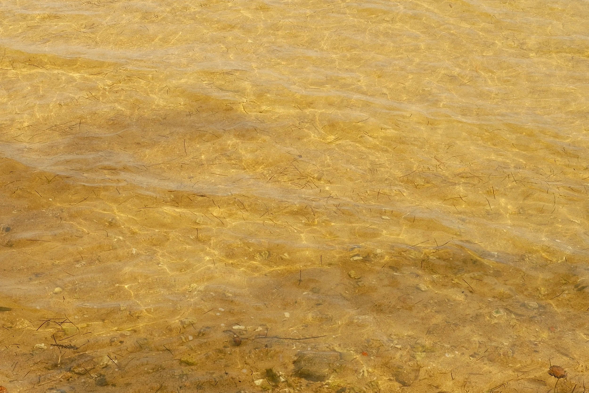 DSCF2156.JPG