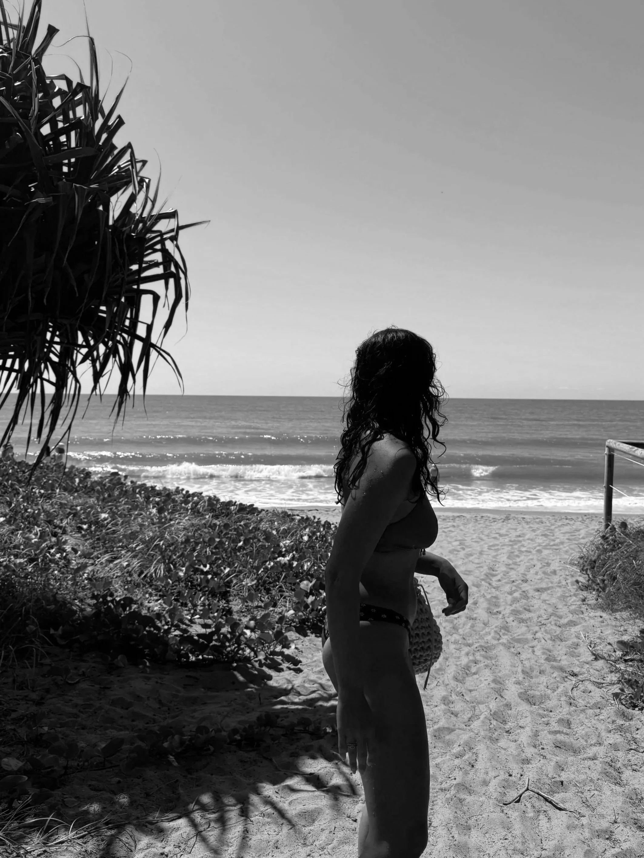 Person standing on a sandy beach near the ocean, with a large plant on the left and a railing on the right, looking out towards the water.