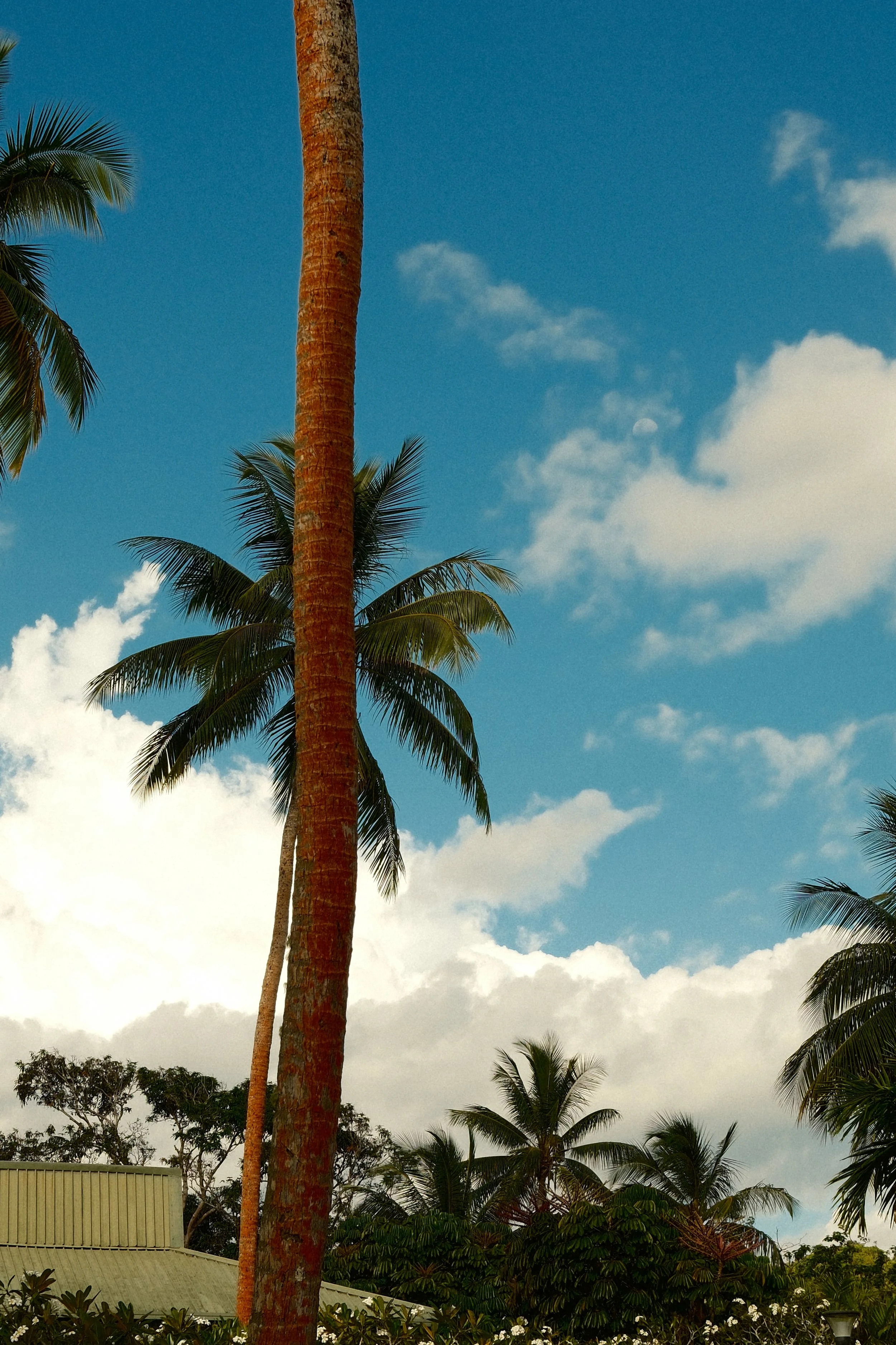 DSCF1829.JPG