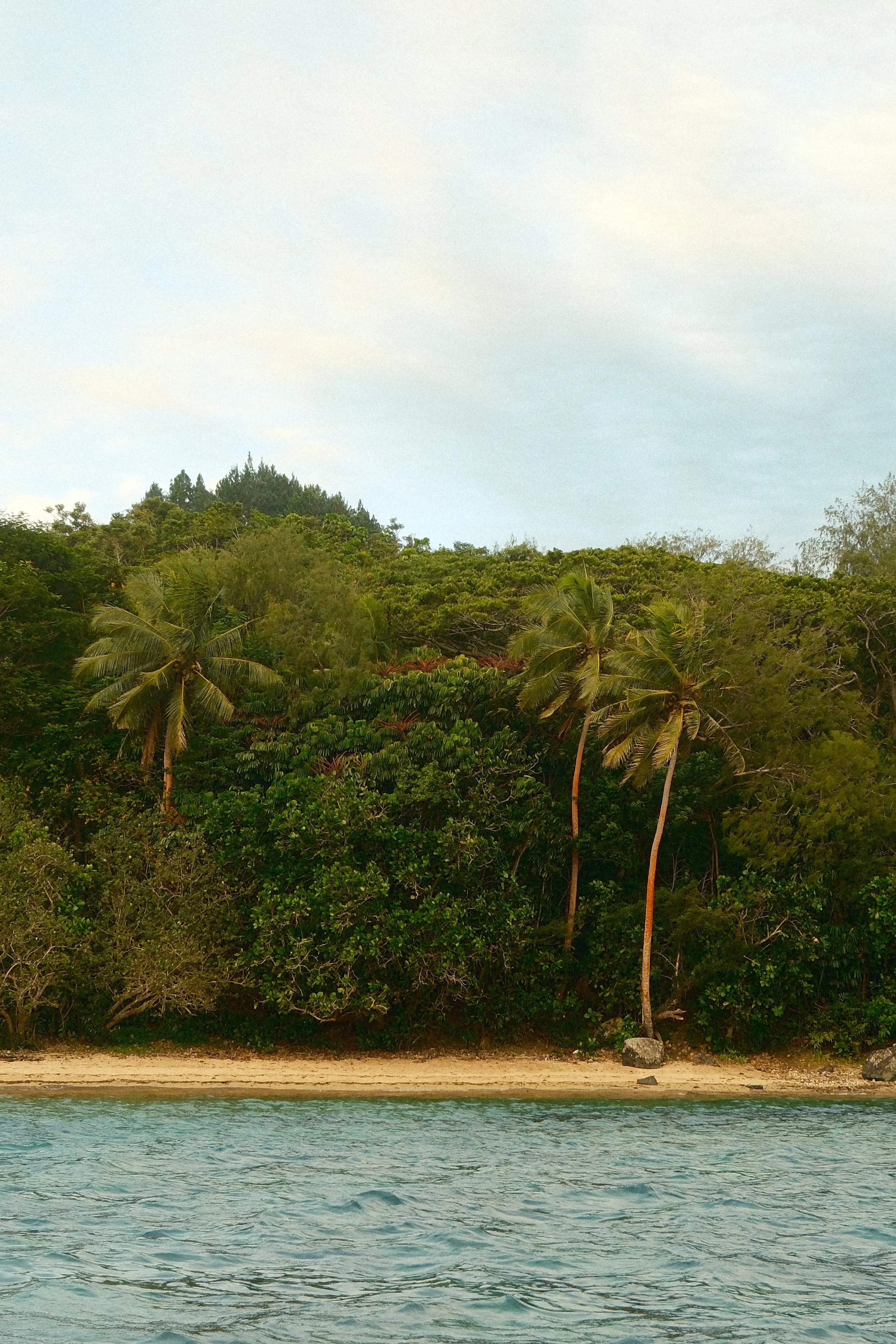 DSCF2227.JPG
