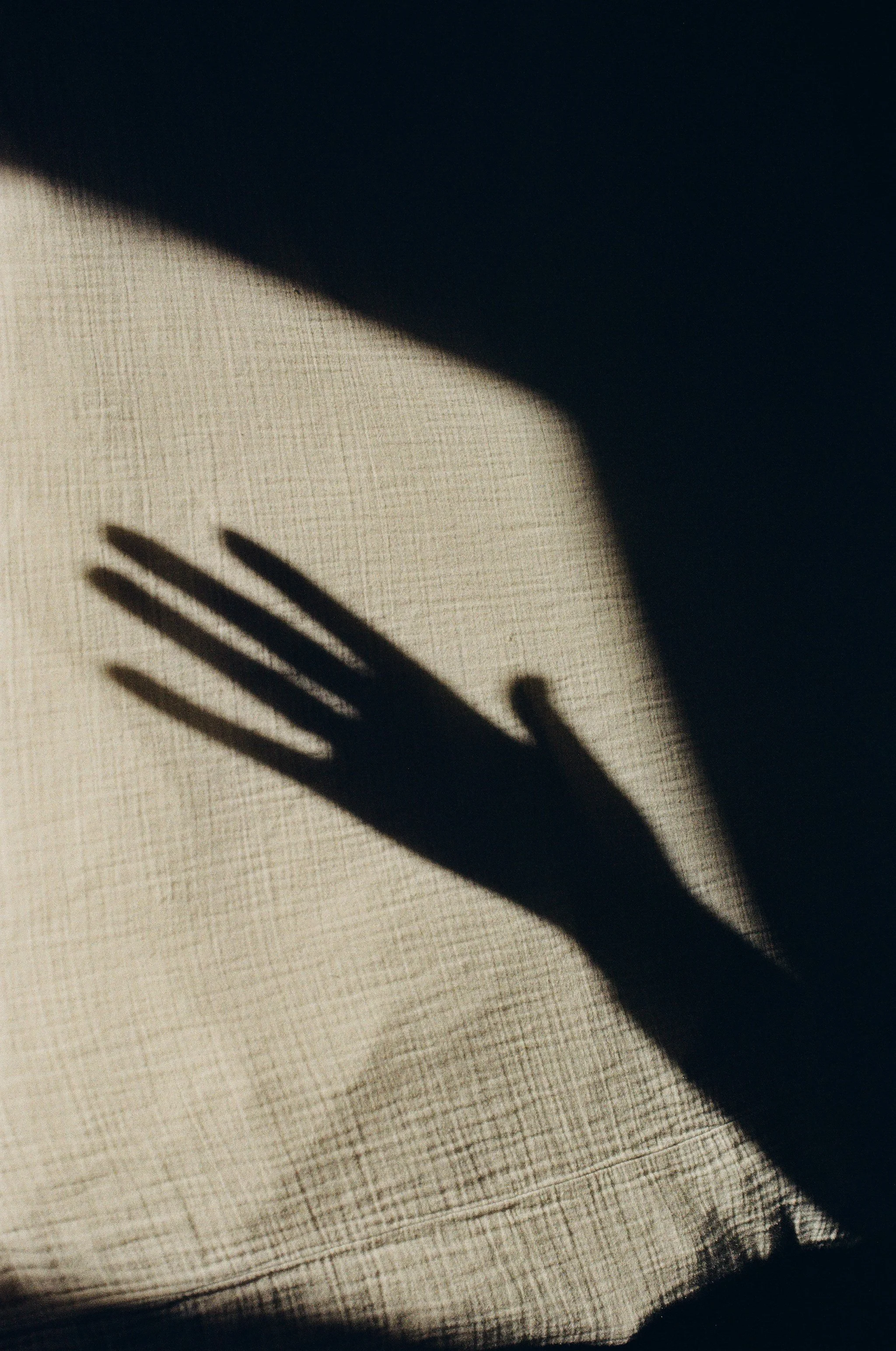 58390006.JPG