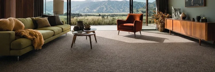Hetherset wool carpet wide angle room scene