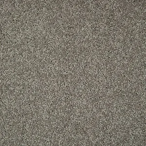 SHANNON detail 3