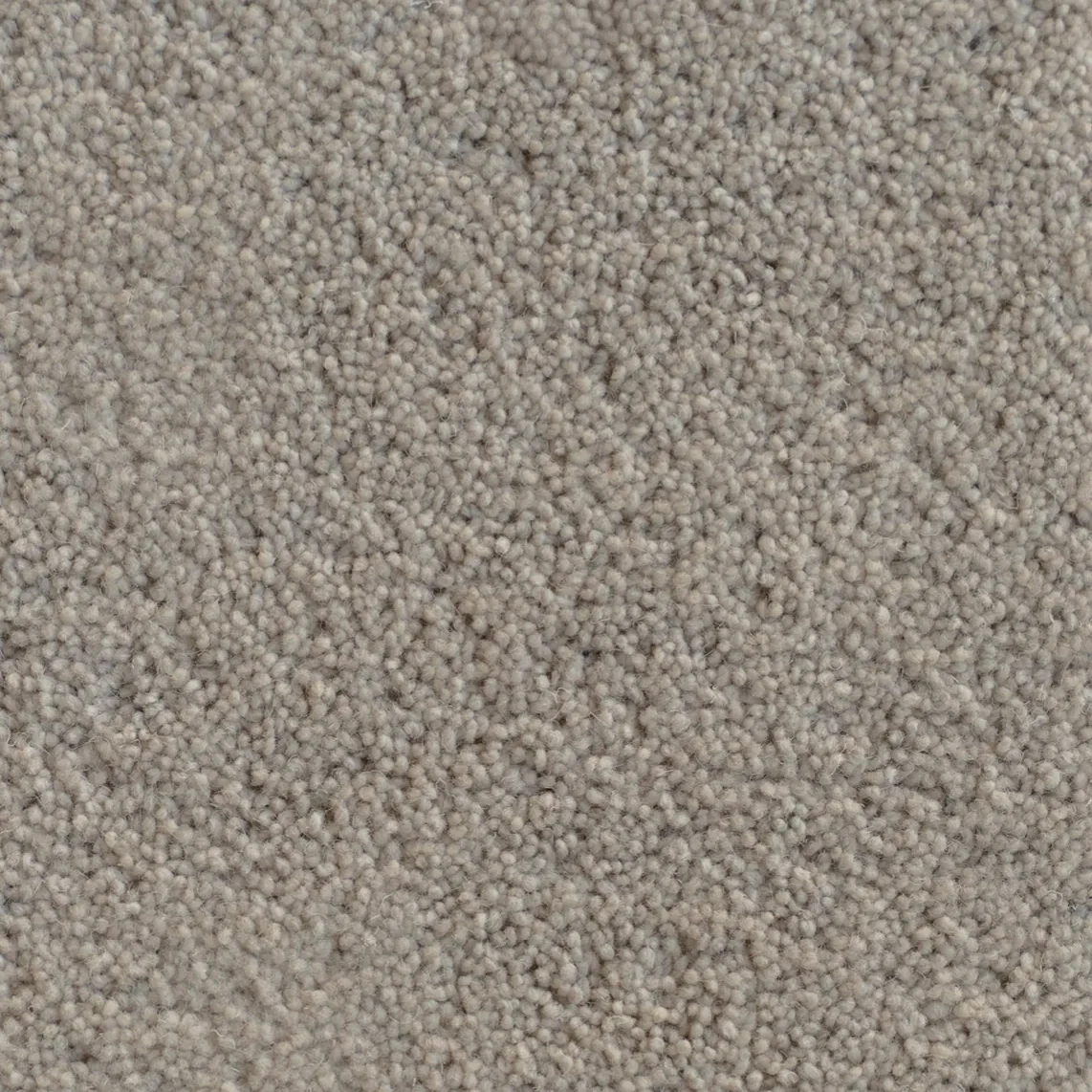 Klifden cut pile wool carpet