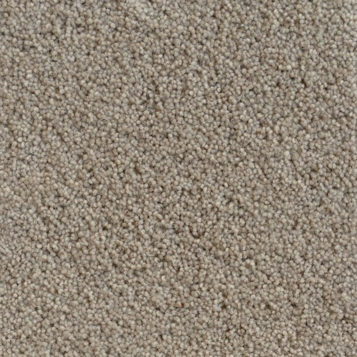 Klifden Hillsbrook cut pile NZ wool carpet