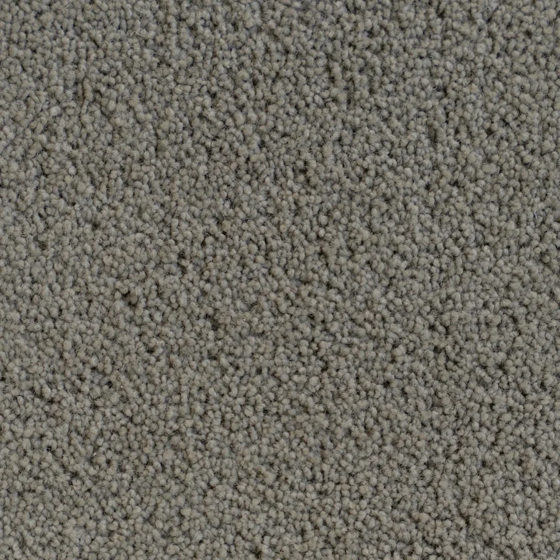 slightly green New Zealand wool cut pile carpet
