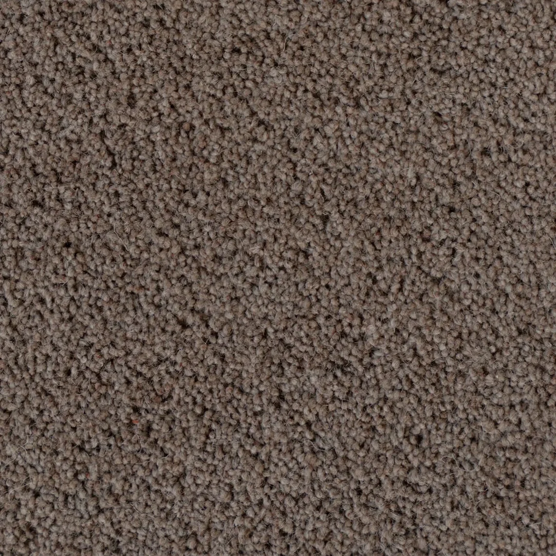 Burnview New Zealand Wool Cut Pile Carpet