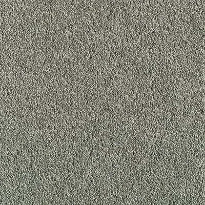 FERNVALE detail 1