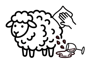 Easy clean wool carpet icon
