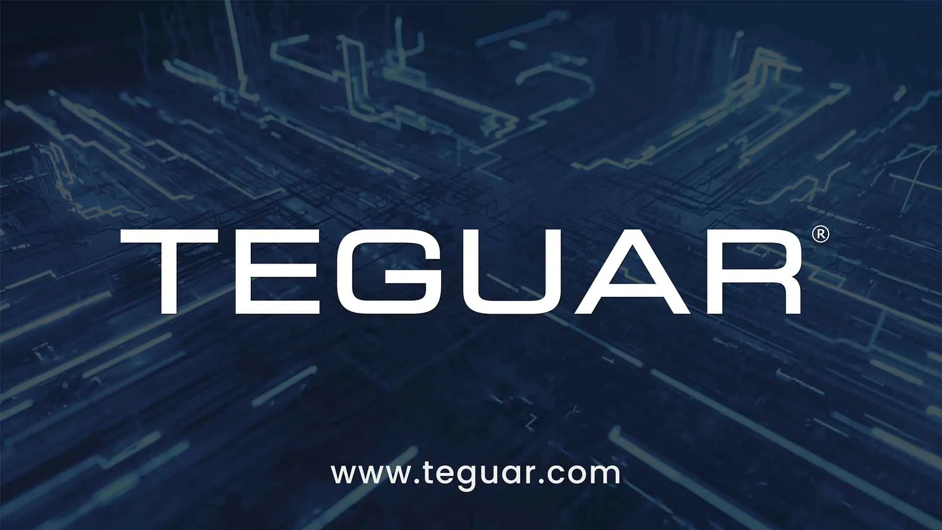 Teguar - Product Overview