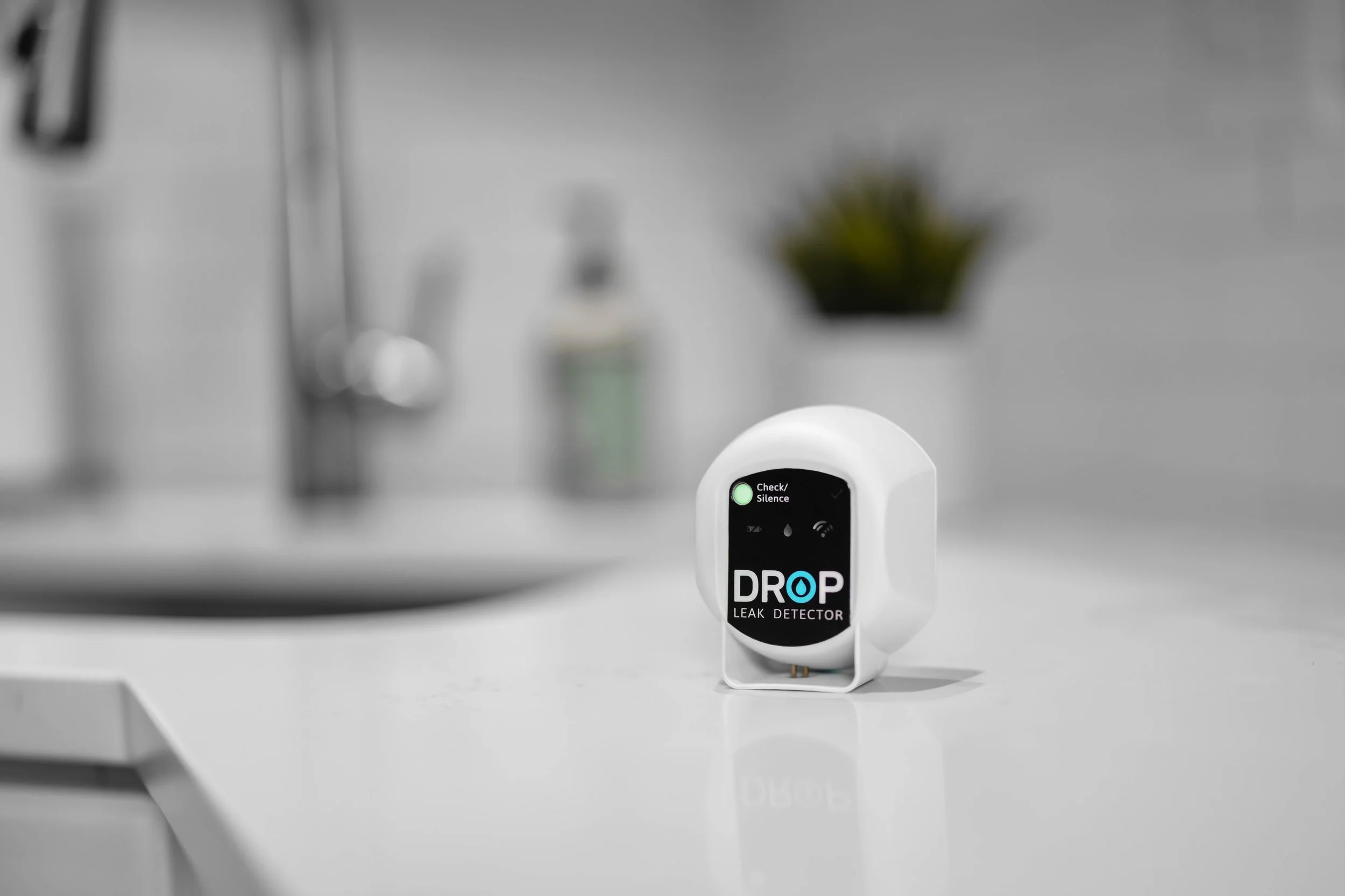 Creative North Co_Portfolio_Product-6.jpg