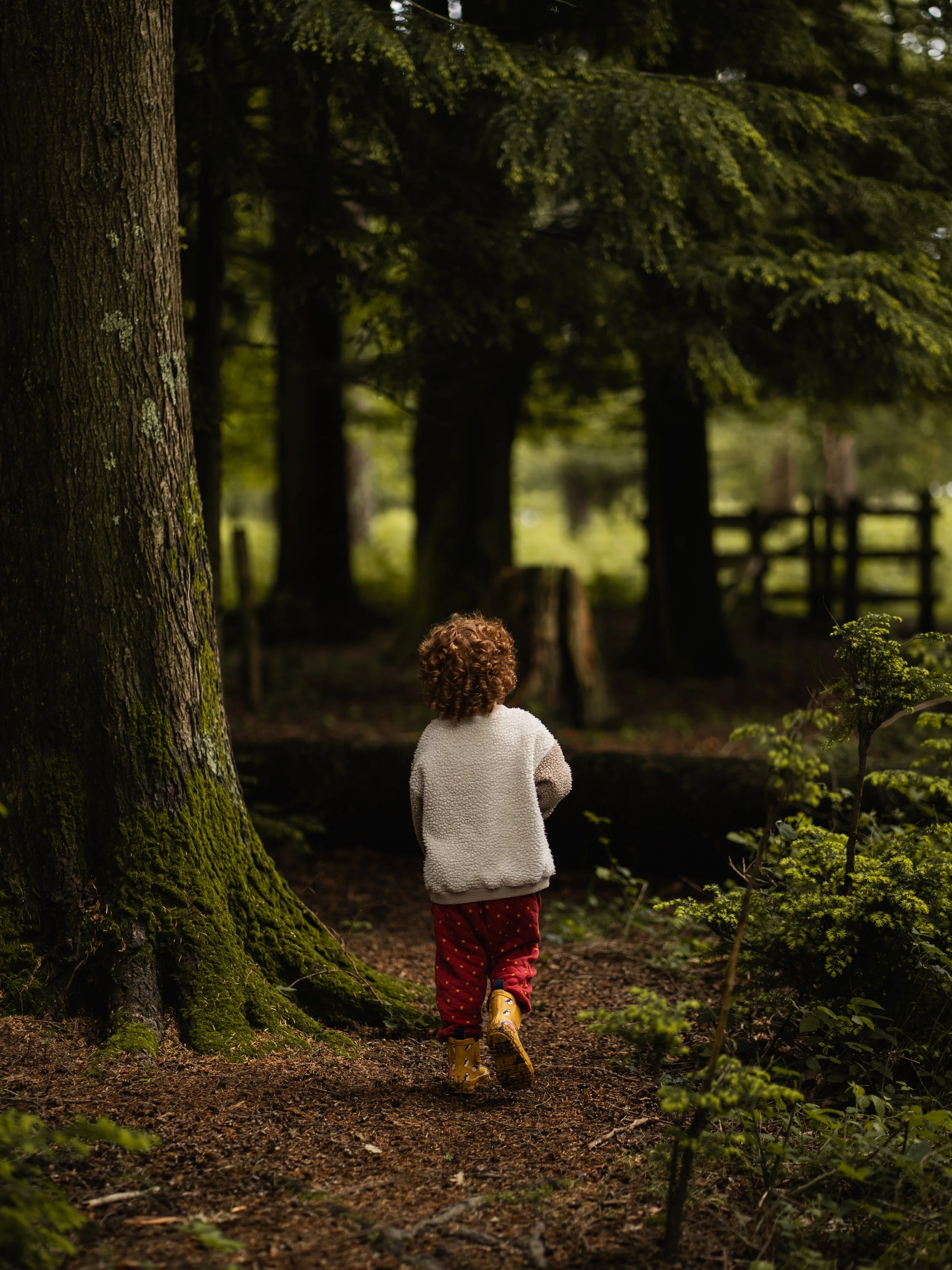 A young child with curly hair walking on a forest trail surrounded by tall trees with moss-covered trunks and lush green foliage.