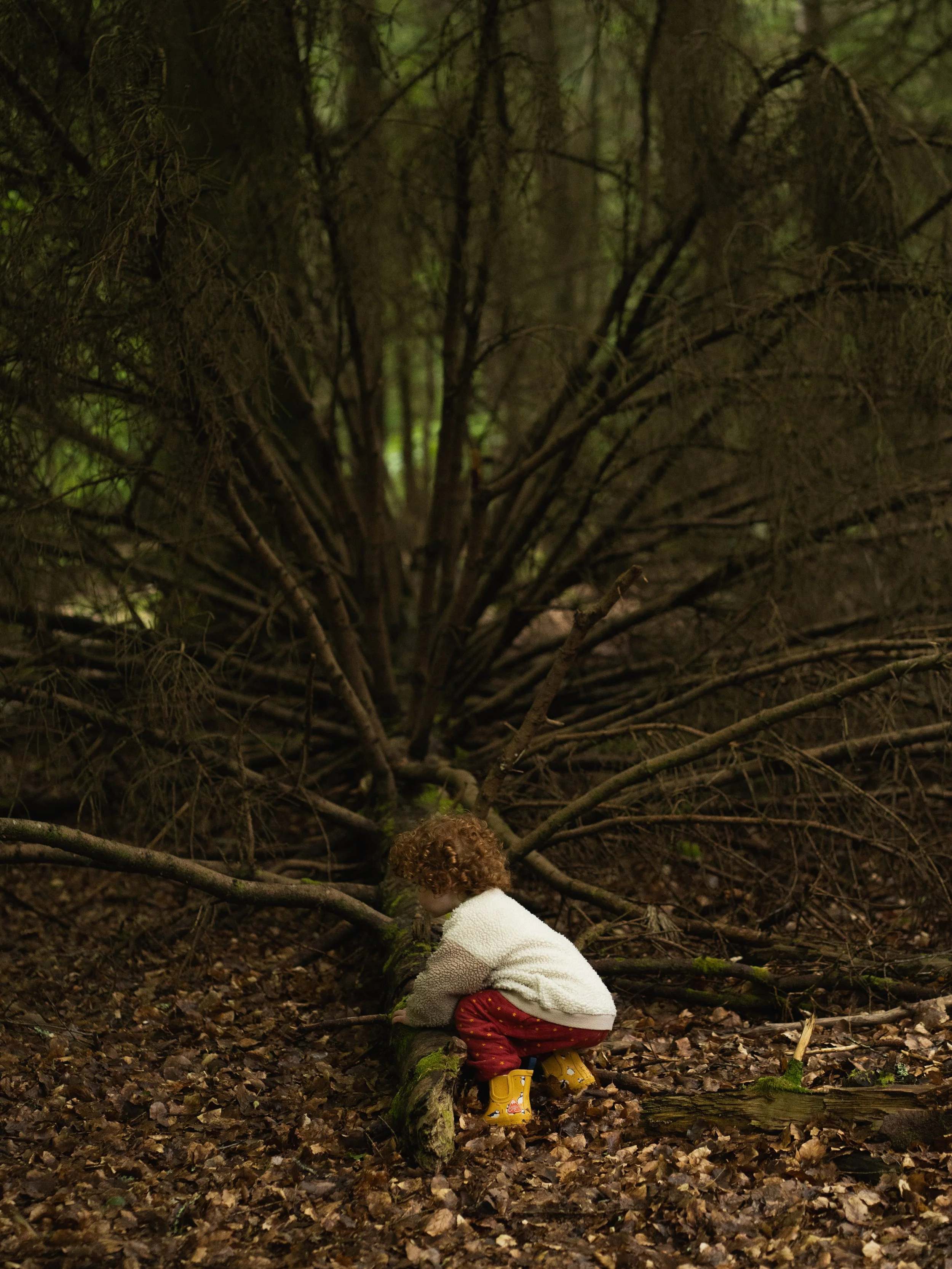 A child with curly hair wearing a white jacket, red polka dot pants, yellow rain boots, and a yellow umbrella, crouching on the forest floor among fallen leaves and twisted branches, facing towards a large, dense tree.