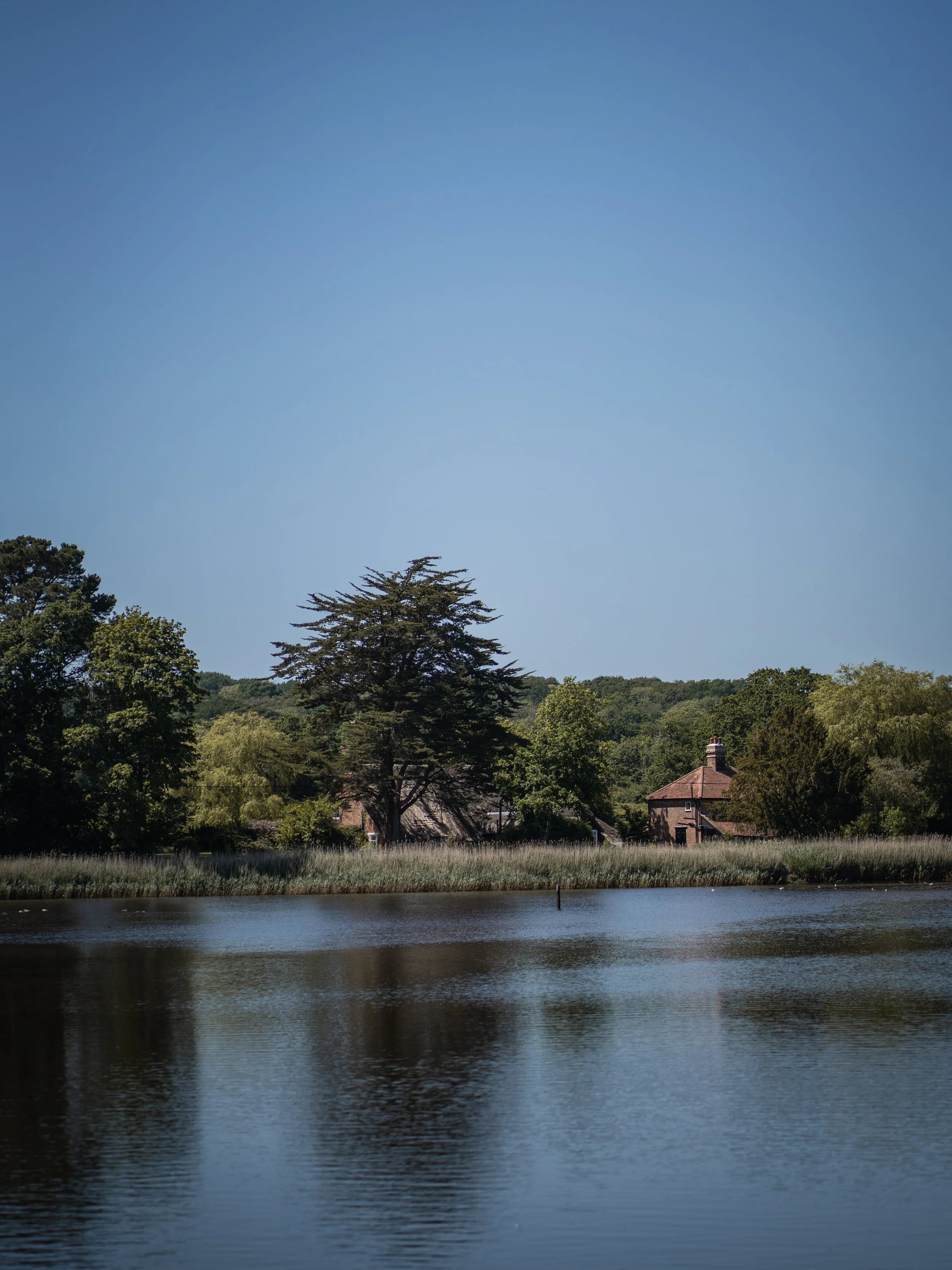 Beaulieu