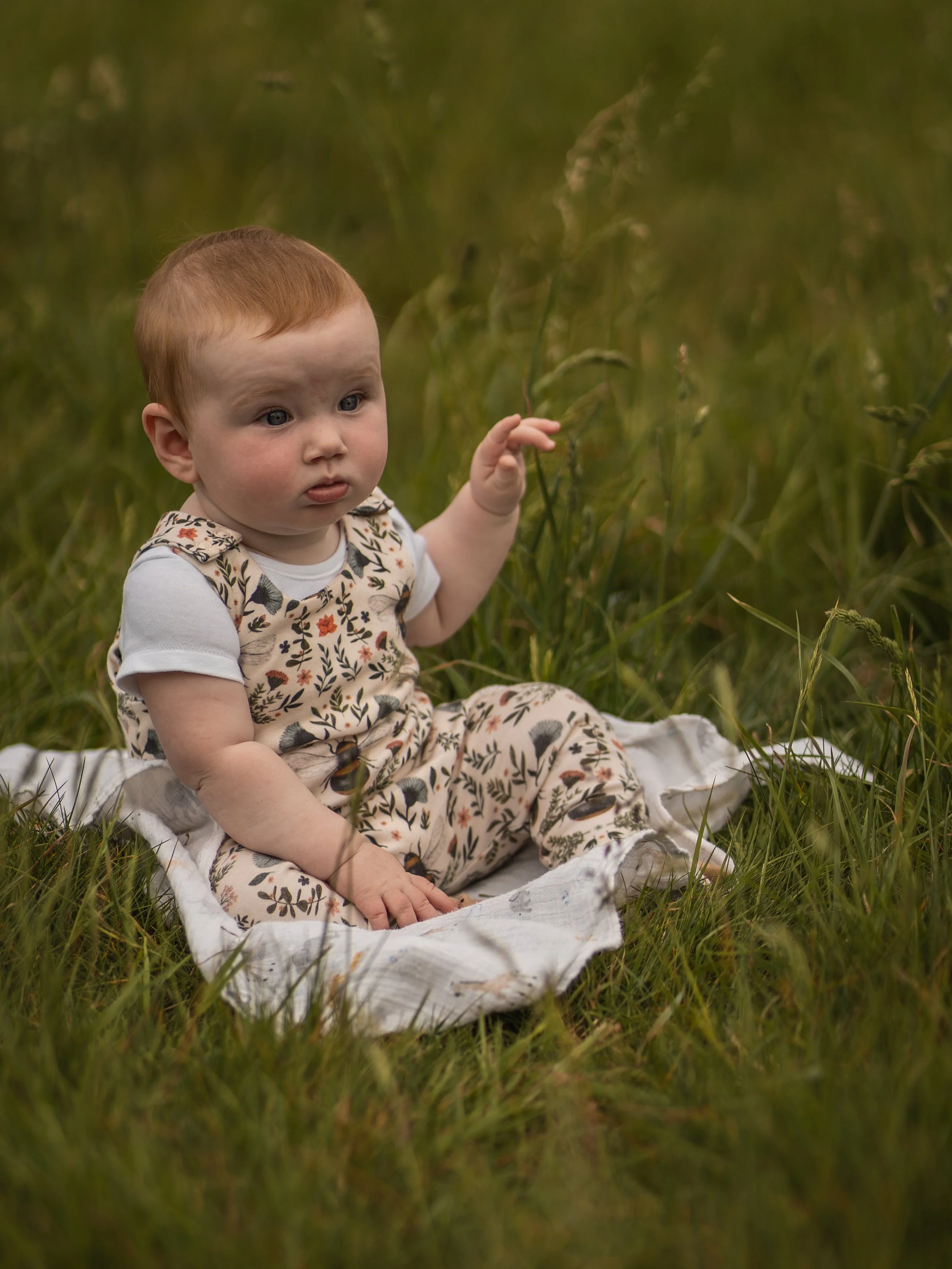 A Family Picnic in the Dorset 