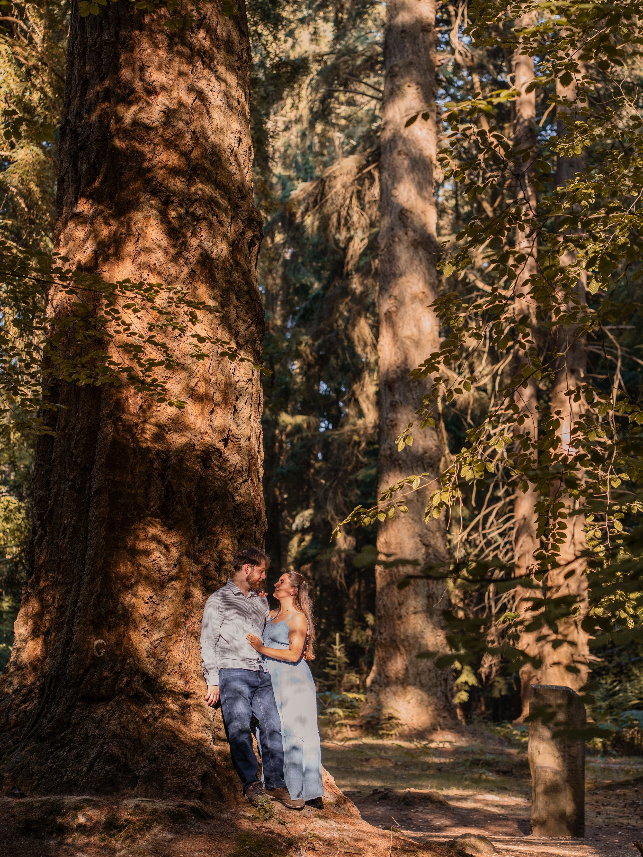Engagement Session at Rhinefield Ornamental Drive