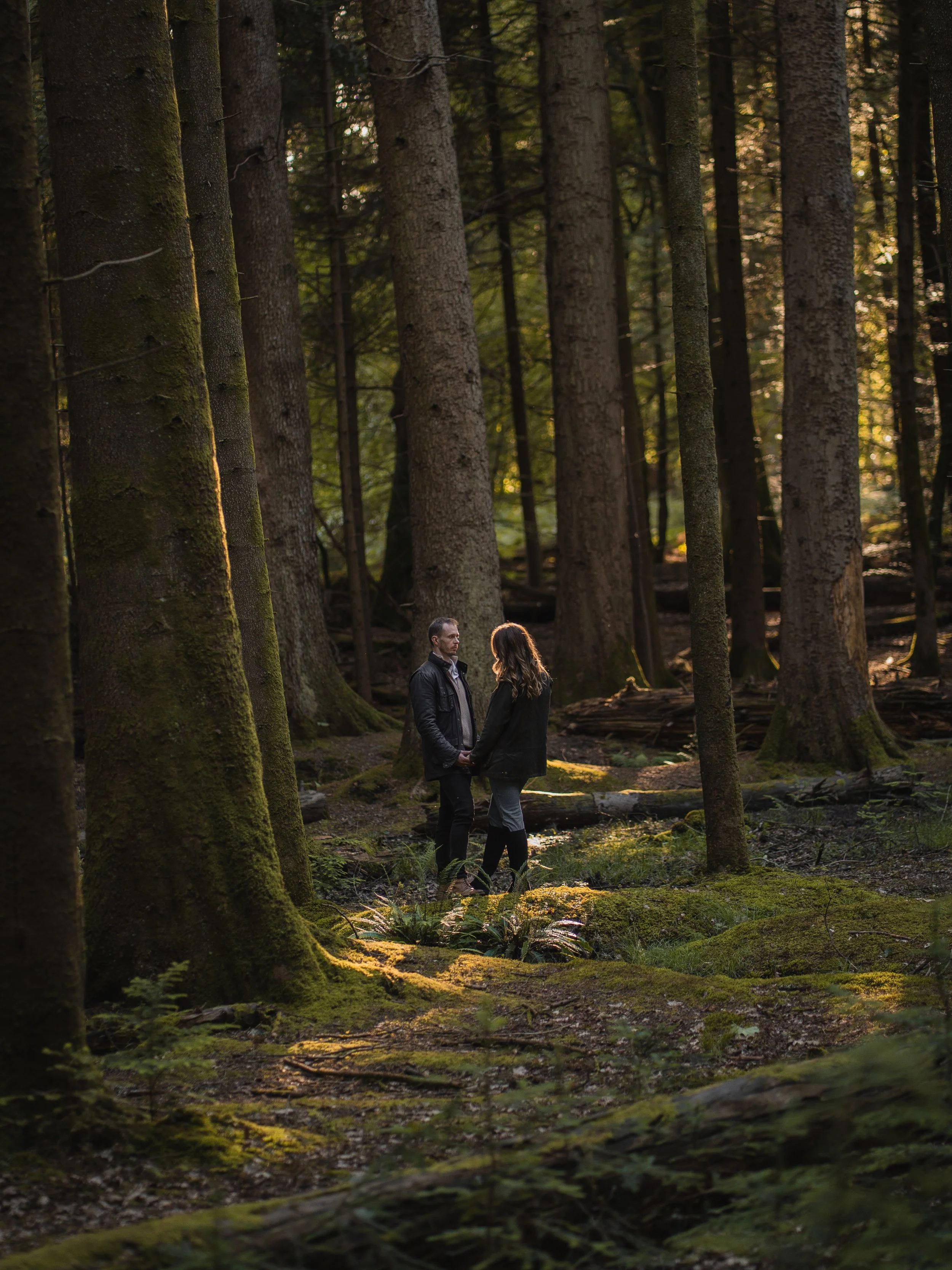 A man and a woman holding hands and looking at each other in a forest with tall trees and moss-covered ground, illuminated by soft natural light.