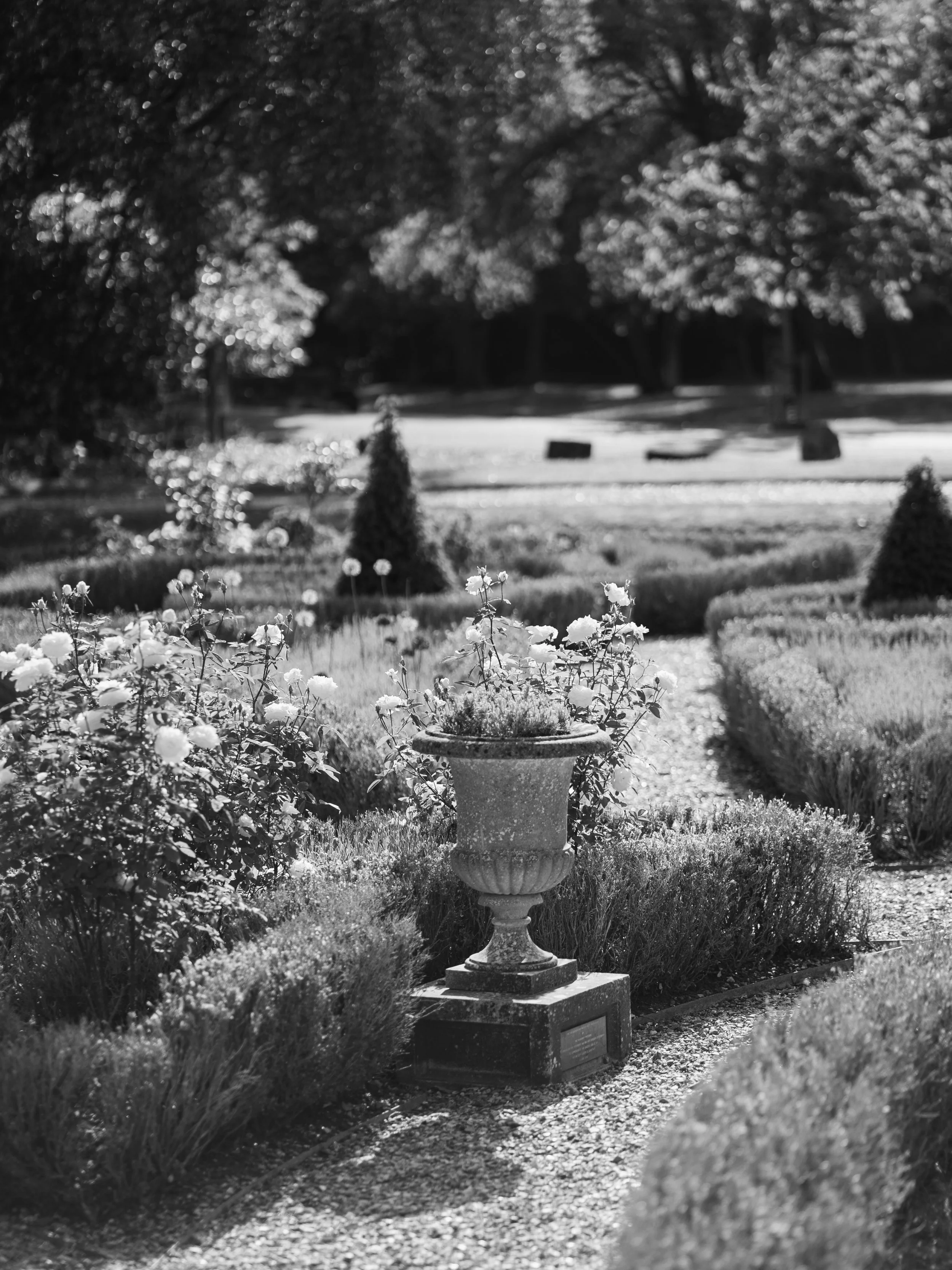 A black and white photo of a garden with a concrete pedestal urn filled with flowers, surrounded by bushes, a grassy area, and trees in the background.