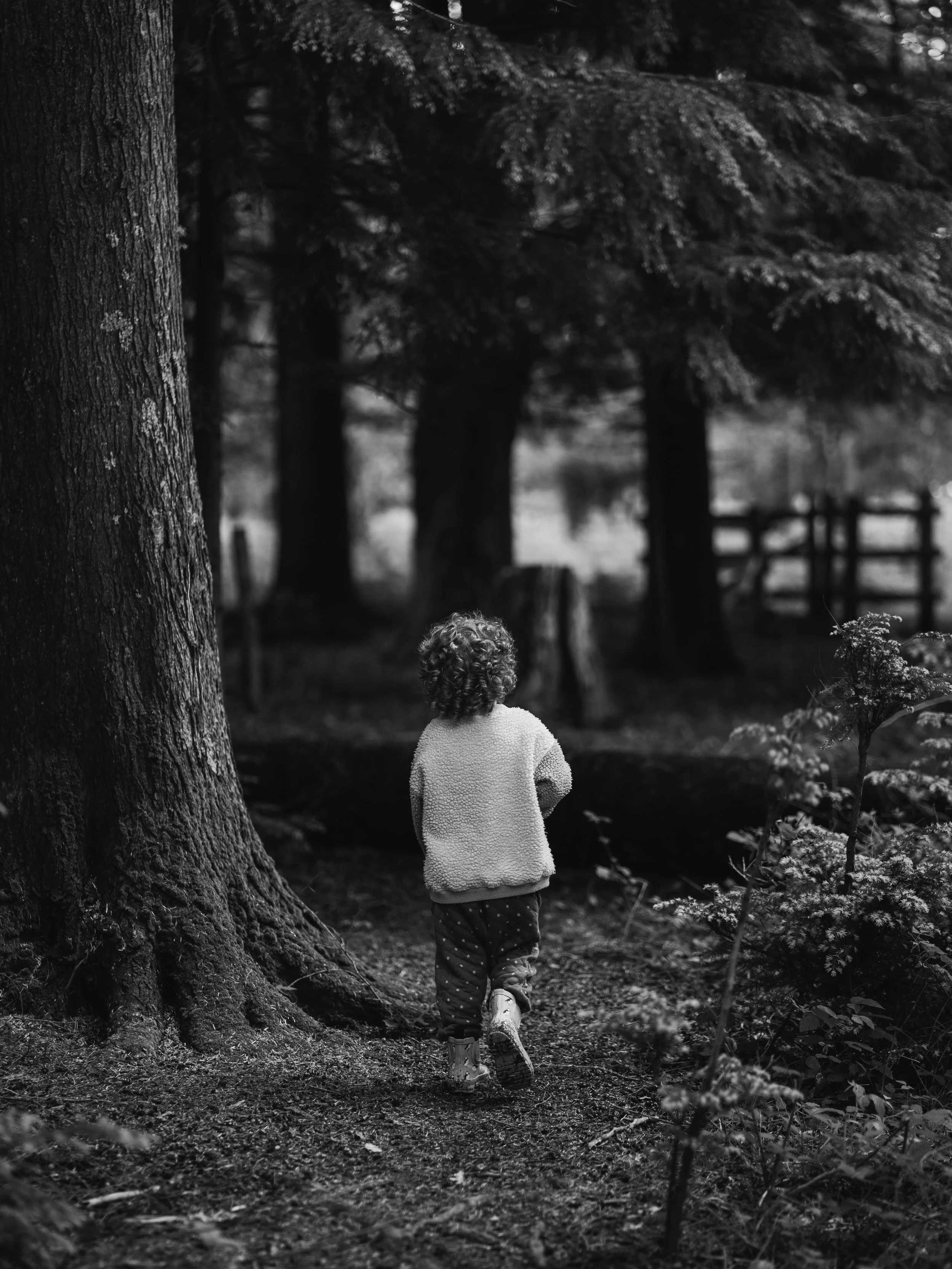 A young child with curly hair, wearing a light-colored sweater, patterned pants, and boots, walking in a wooded area with tall trees and dense foliage in black and white.