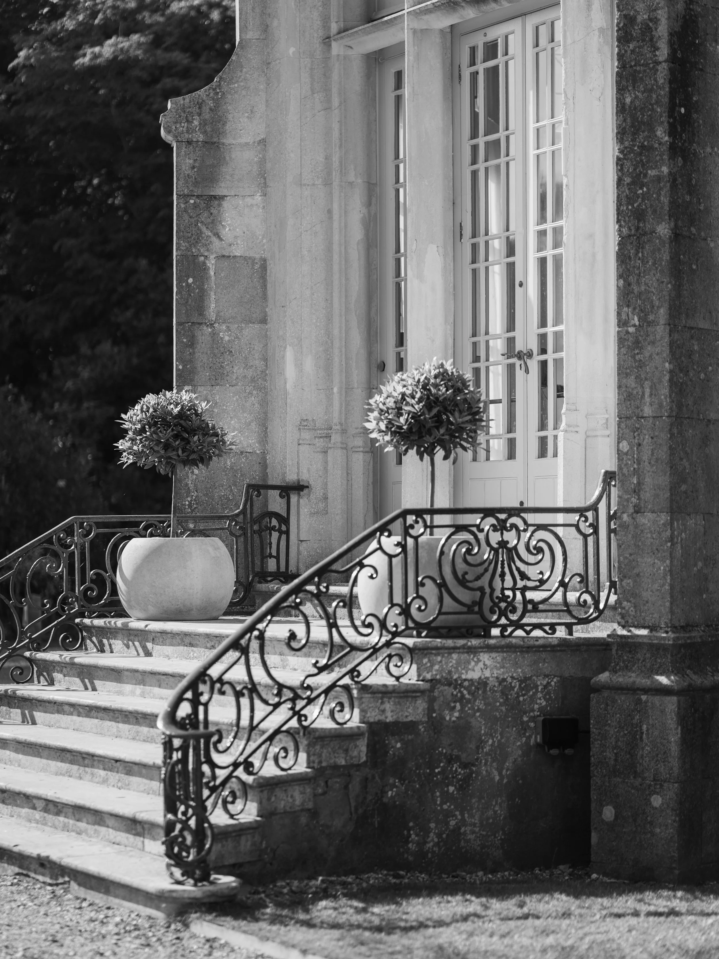 Black and white photo of a stone staircase with decorative iron railings, leading up to a door with glass panels. There are two potted plants on either side of the top of the stairs, and trees are visible in the background.