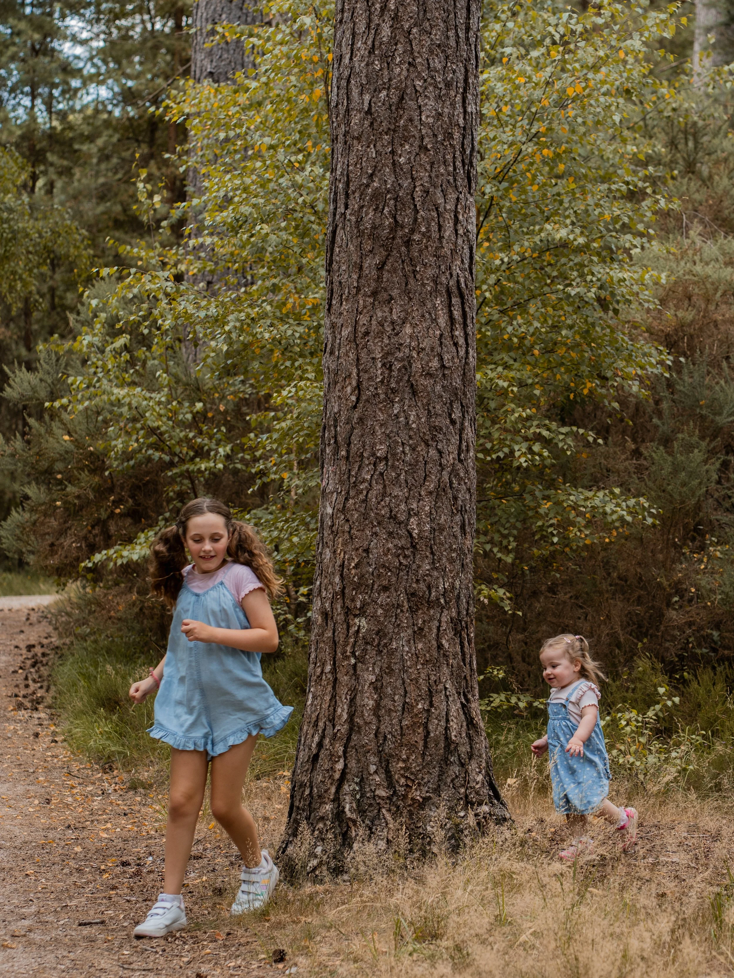 Two young girls playing outdoors in a wooded area around a large tree, with green and yellow leaves, and a dirt path.