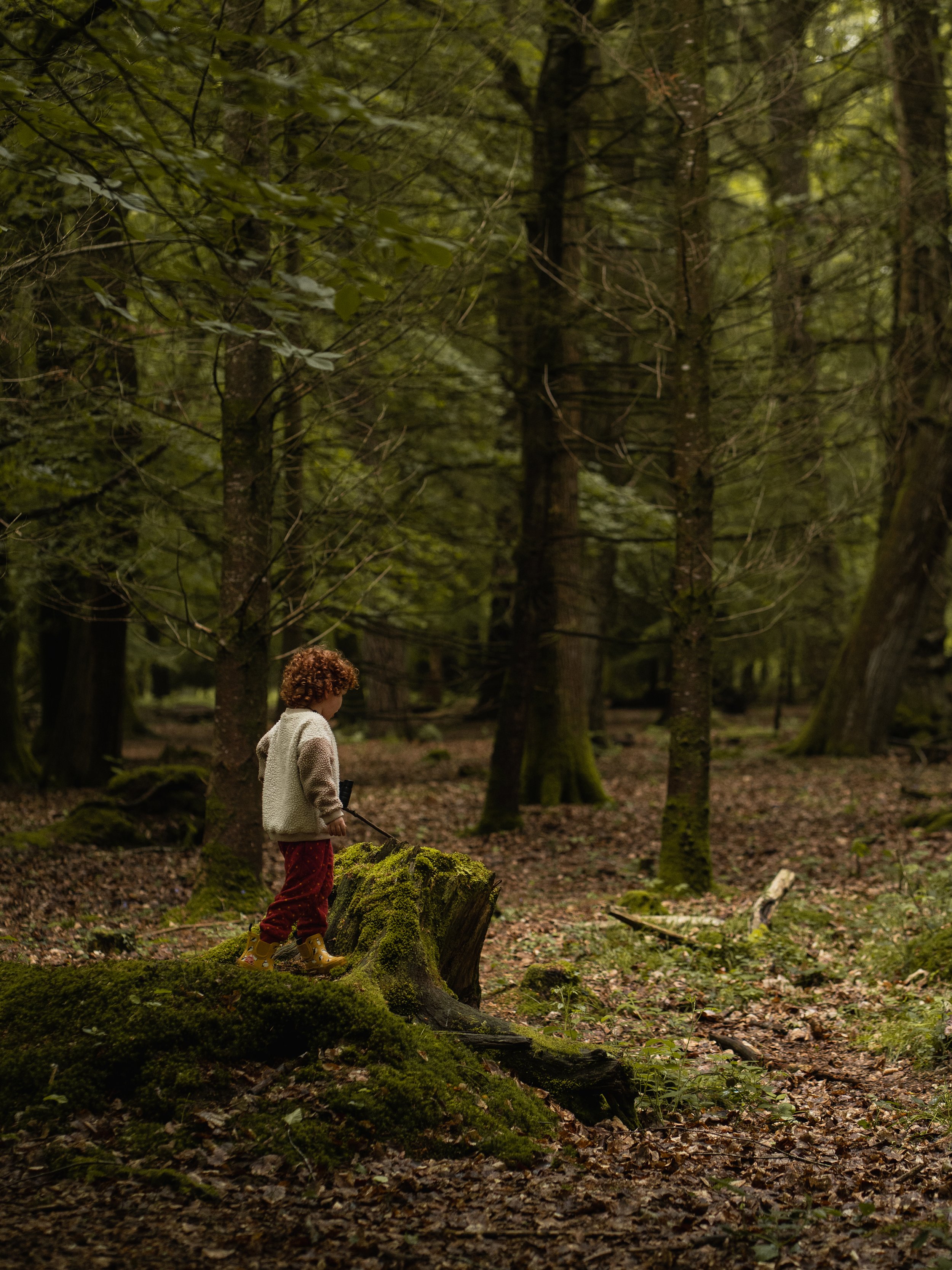 A child with curly hair wearing a sweater, red pants, and yellow rain boots, standing on a moss-covered log in a dense forest.