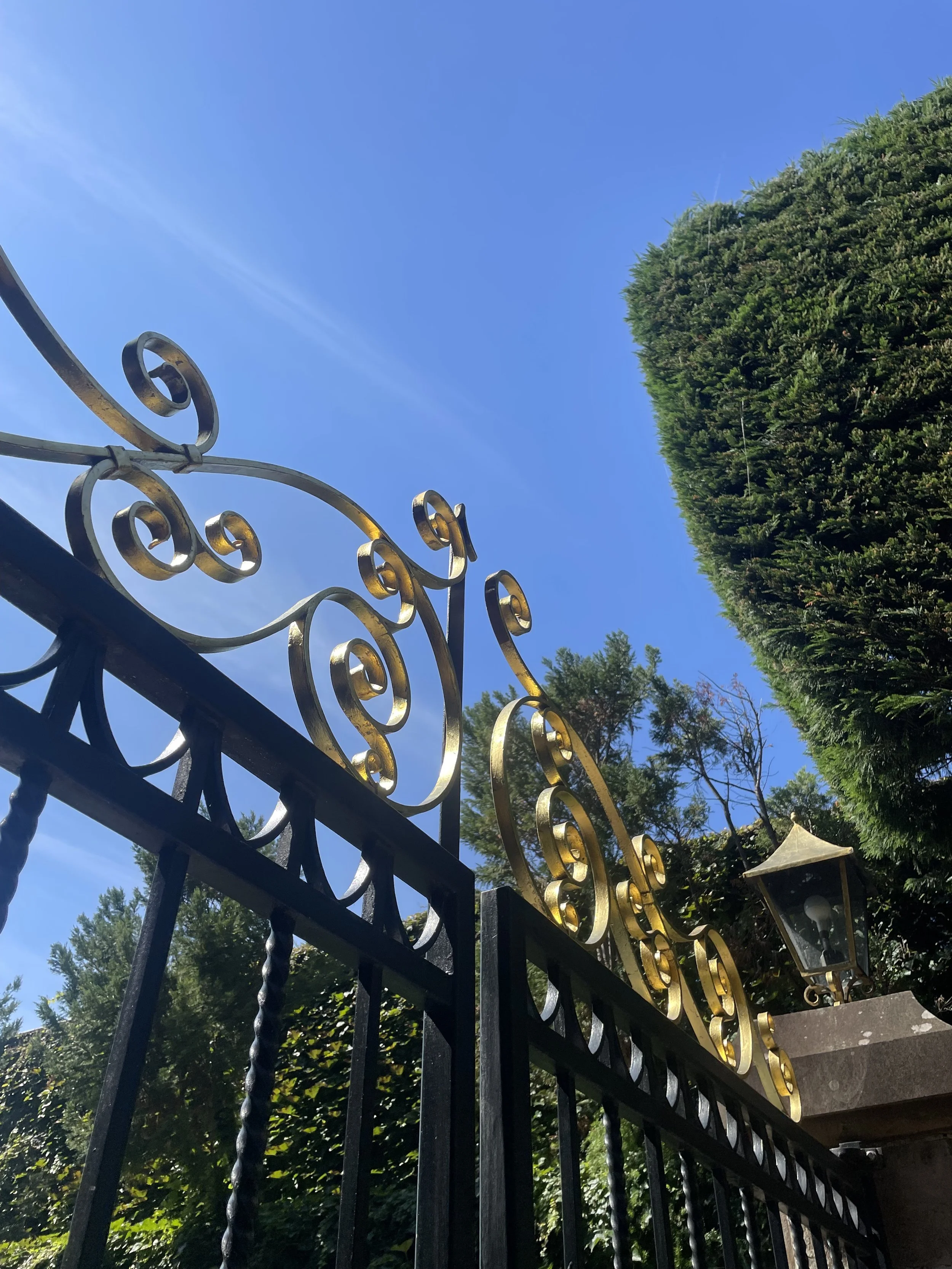 A decorative black wrought-iron fence with gold accents, set against a backdrop of green trees and a bright blue sky.
