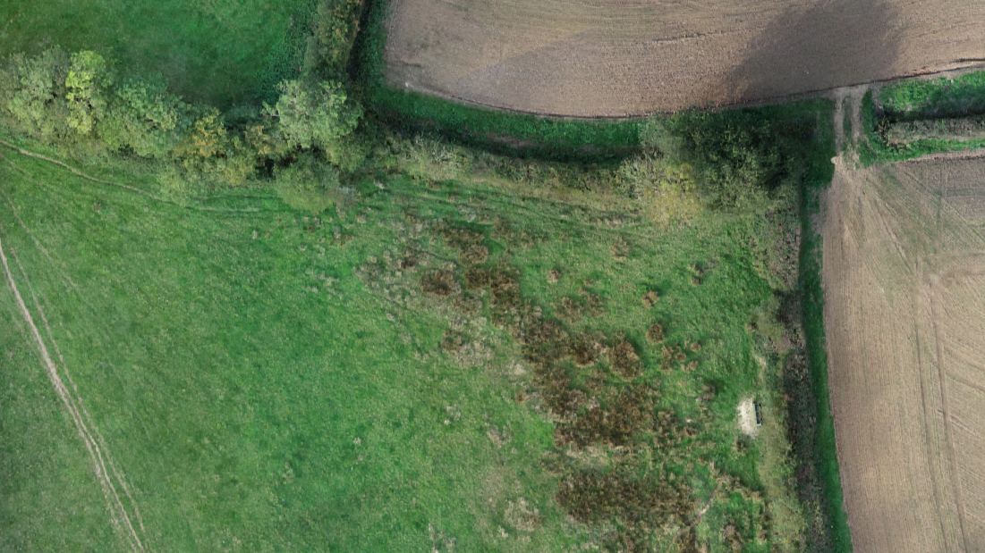 Orthomosaic of a green field with a patch of overgrown vegetation surrounded by tilled farmland and trees.