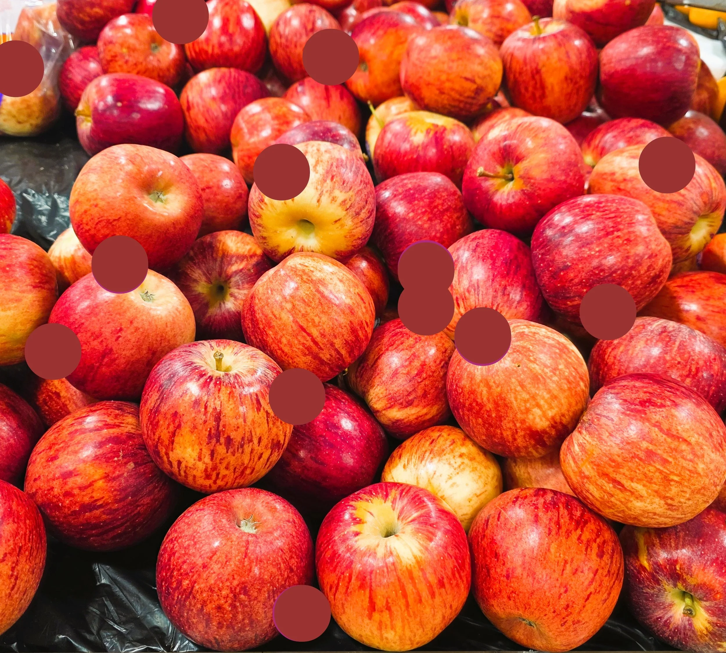 Royal Gala Apples