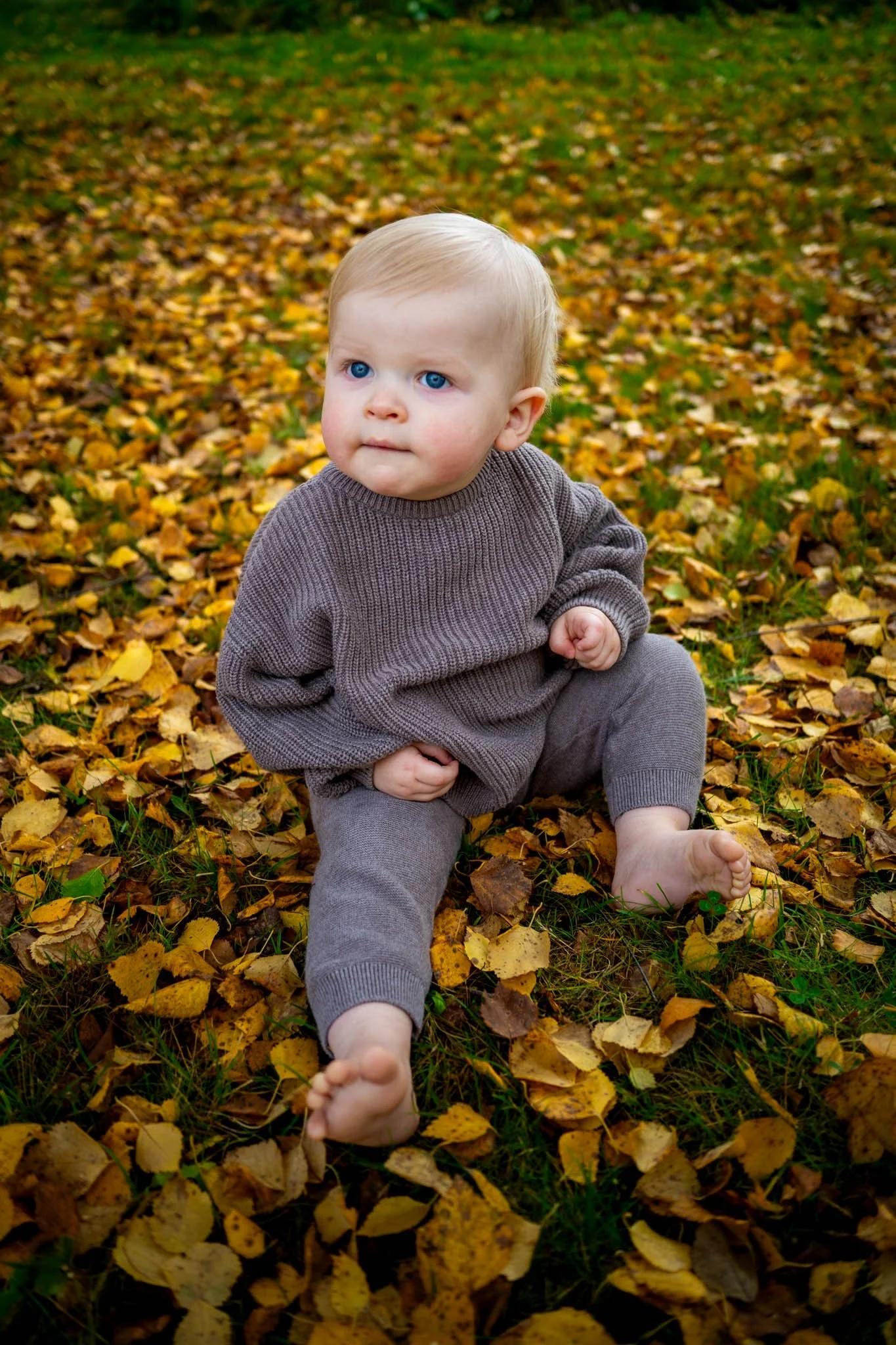 Oliver-Barnefotografering-1.jpg