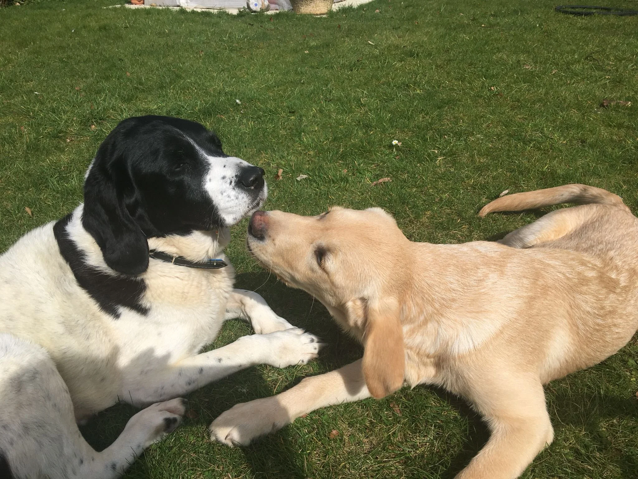 Tess and her friend