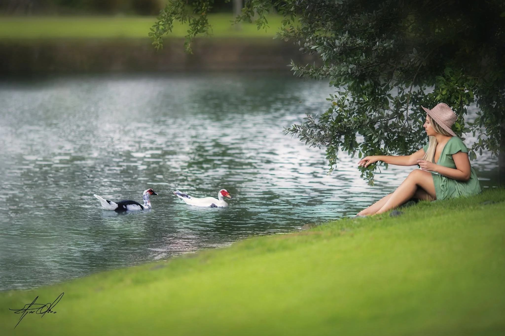 A woman with long blonde hair wearing a pink hat and green dress sitting by a lake, reaching out to feed ducks swimming near the shore with lush green trees and grass in the background.