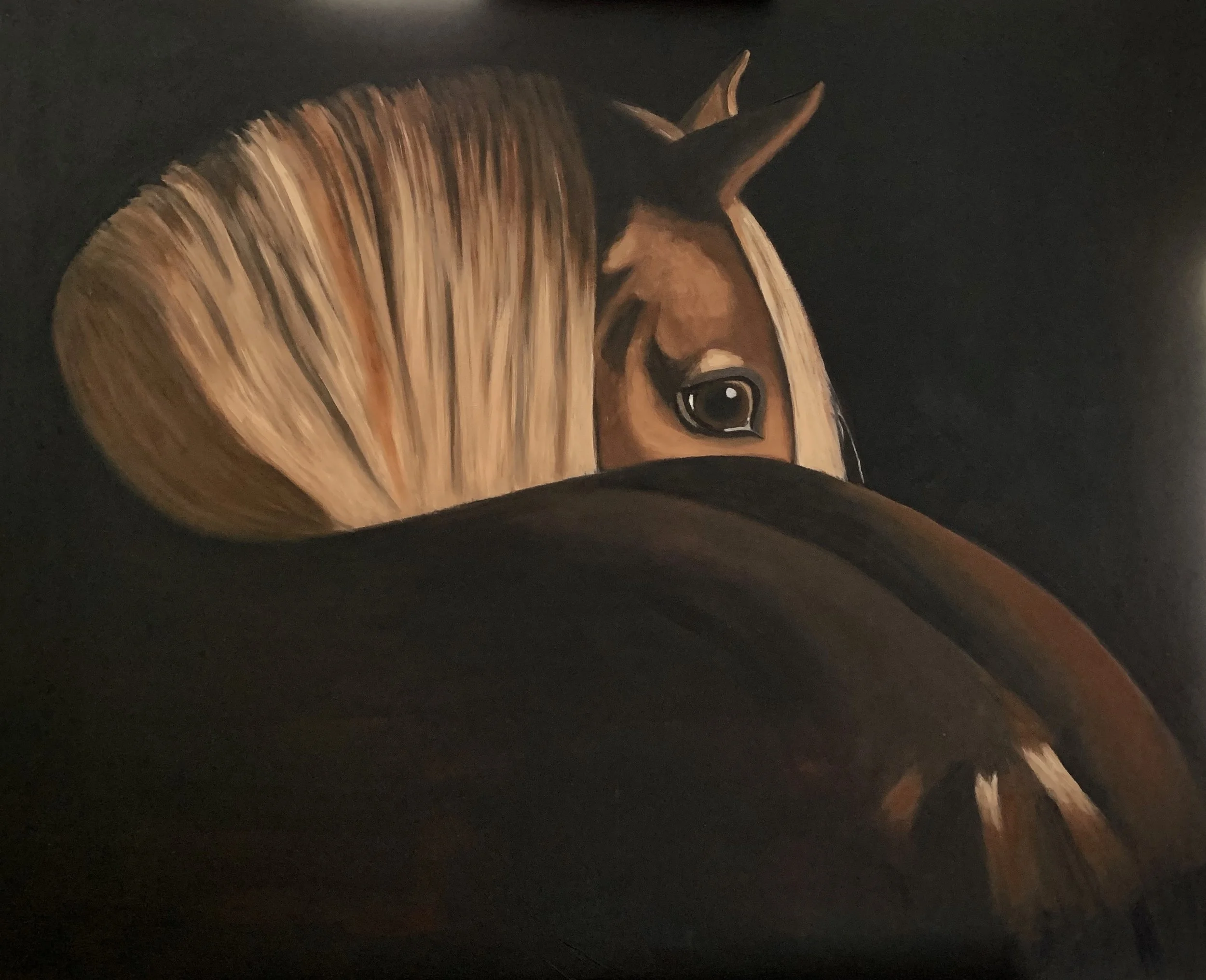 Horse Looking Back
