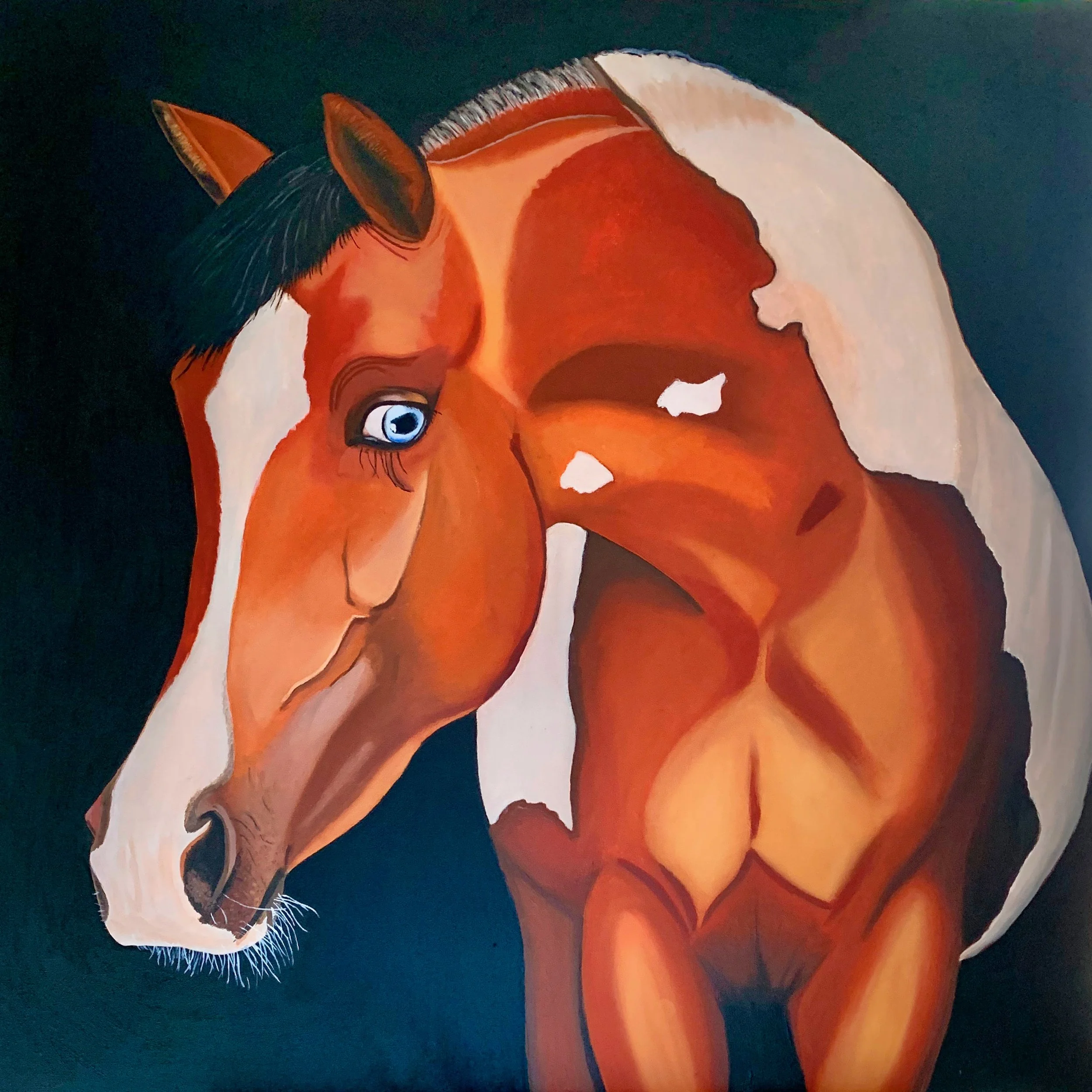 Horse with Blue Eyes