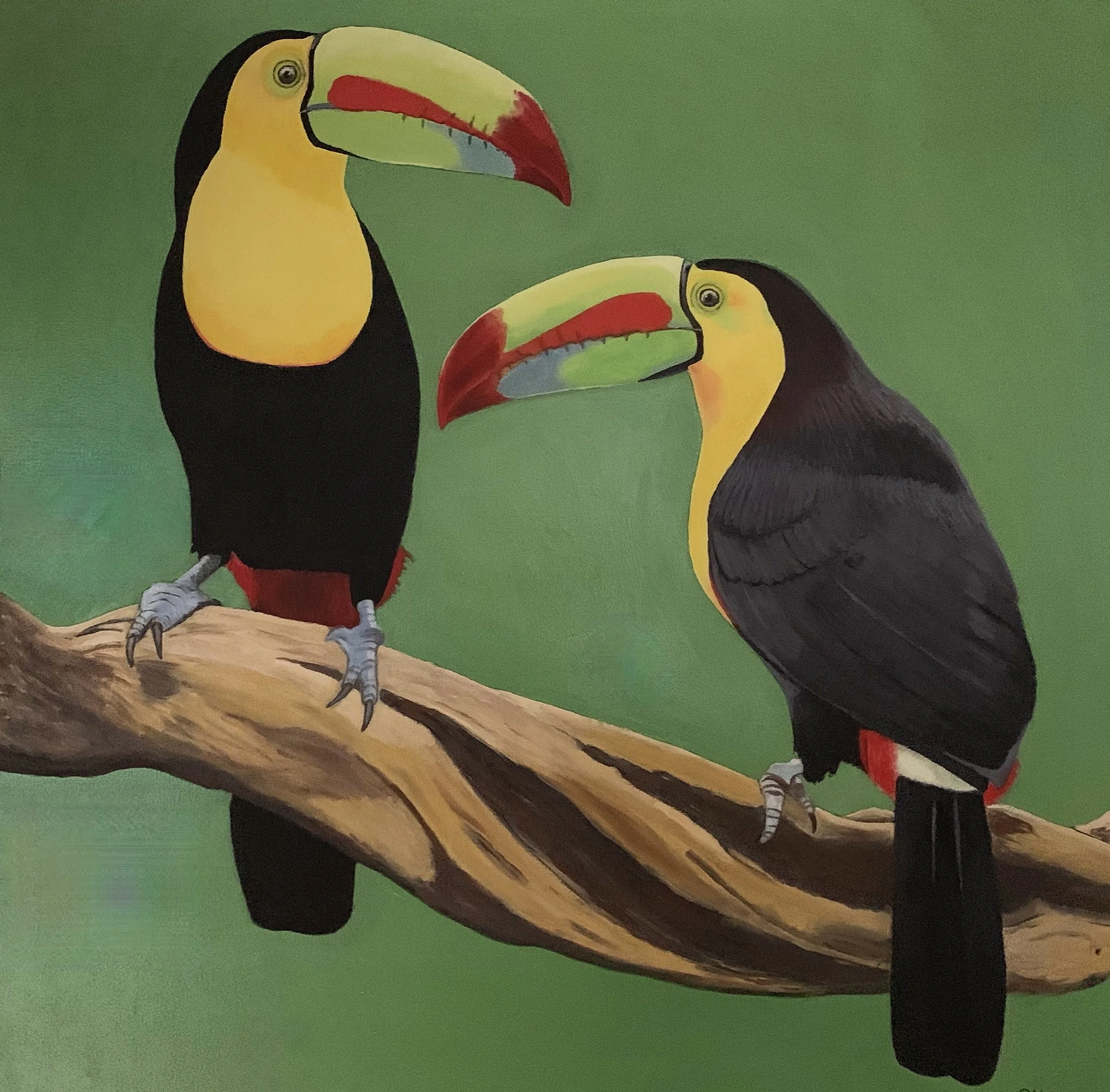 Two Toucans