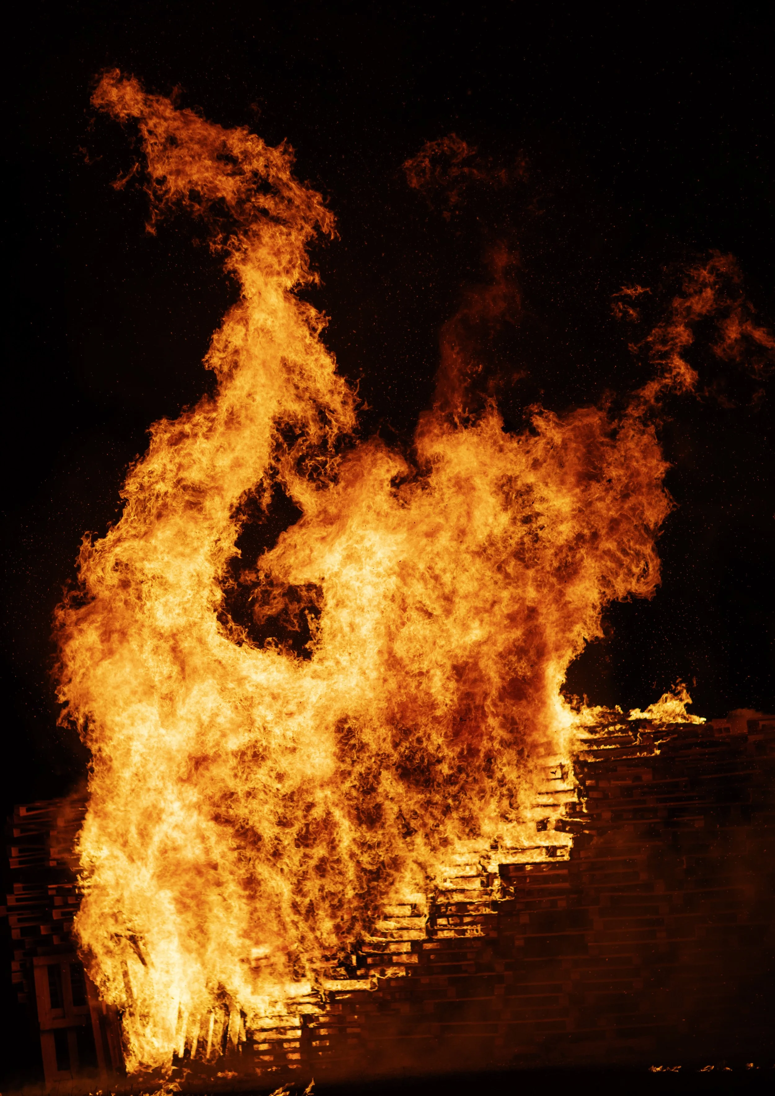 Bonfire Swan